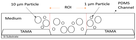 Sensors 21 04957 i002