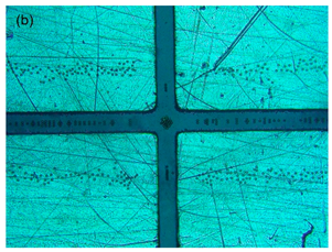 Sensors 21 04957 i003