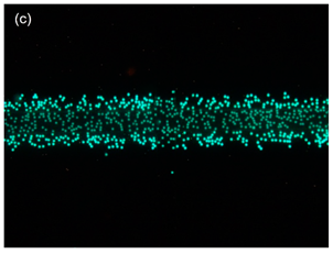 Sensors 21 04957 i005