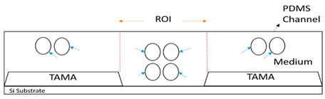 Sensors 21 04957 i008