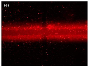 Sensors 21 04957 i009