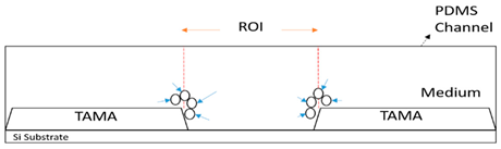 Sensors 21 04957 i012