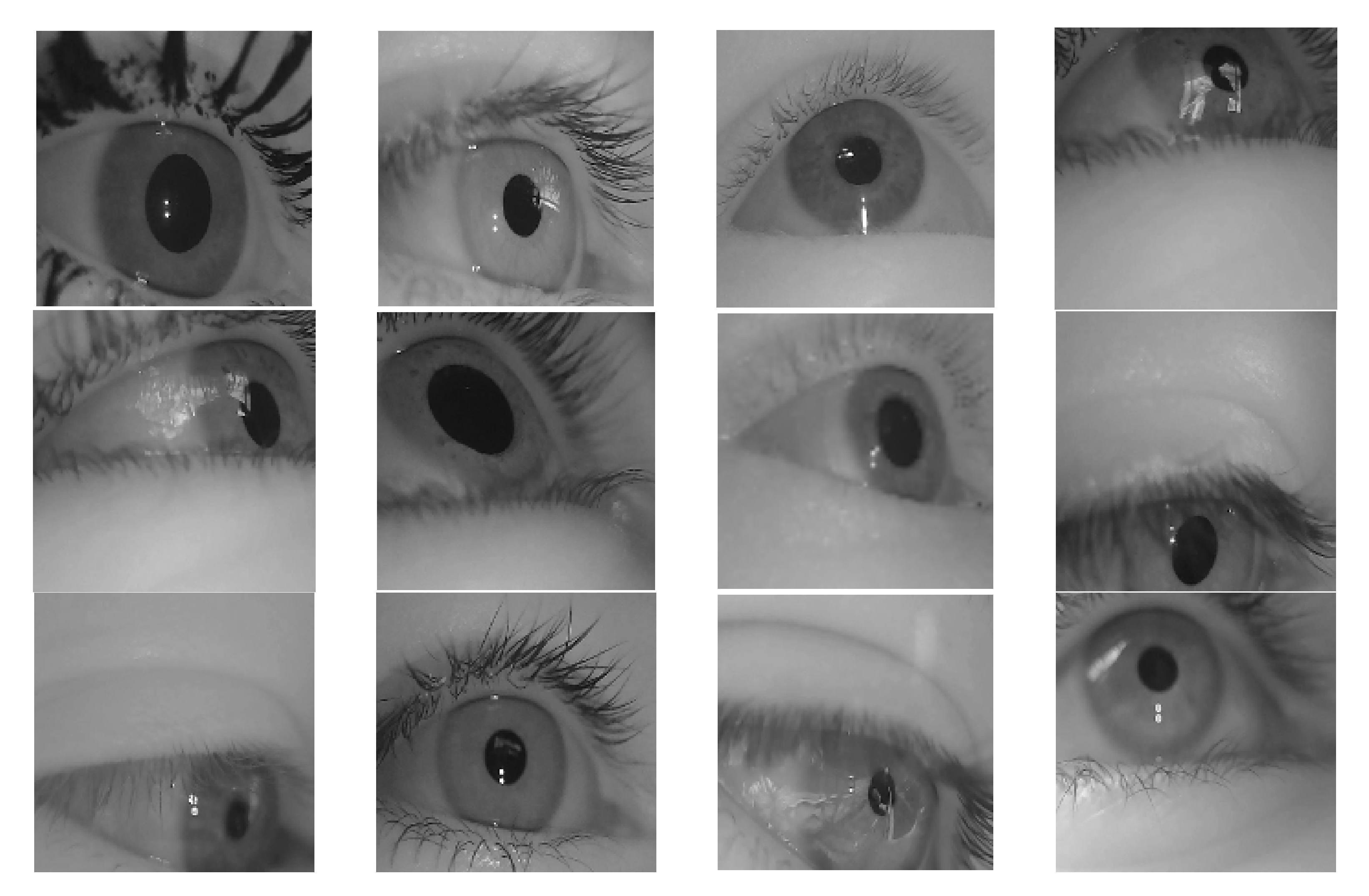 Sensors 21 04965 g001