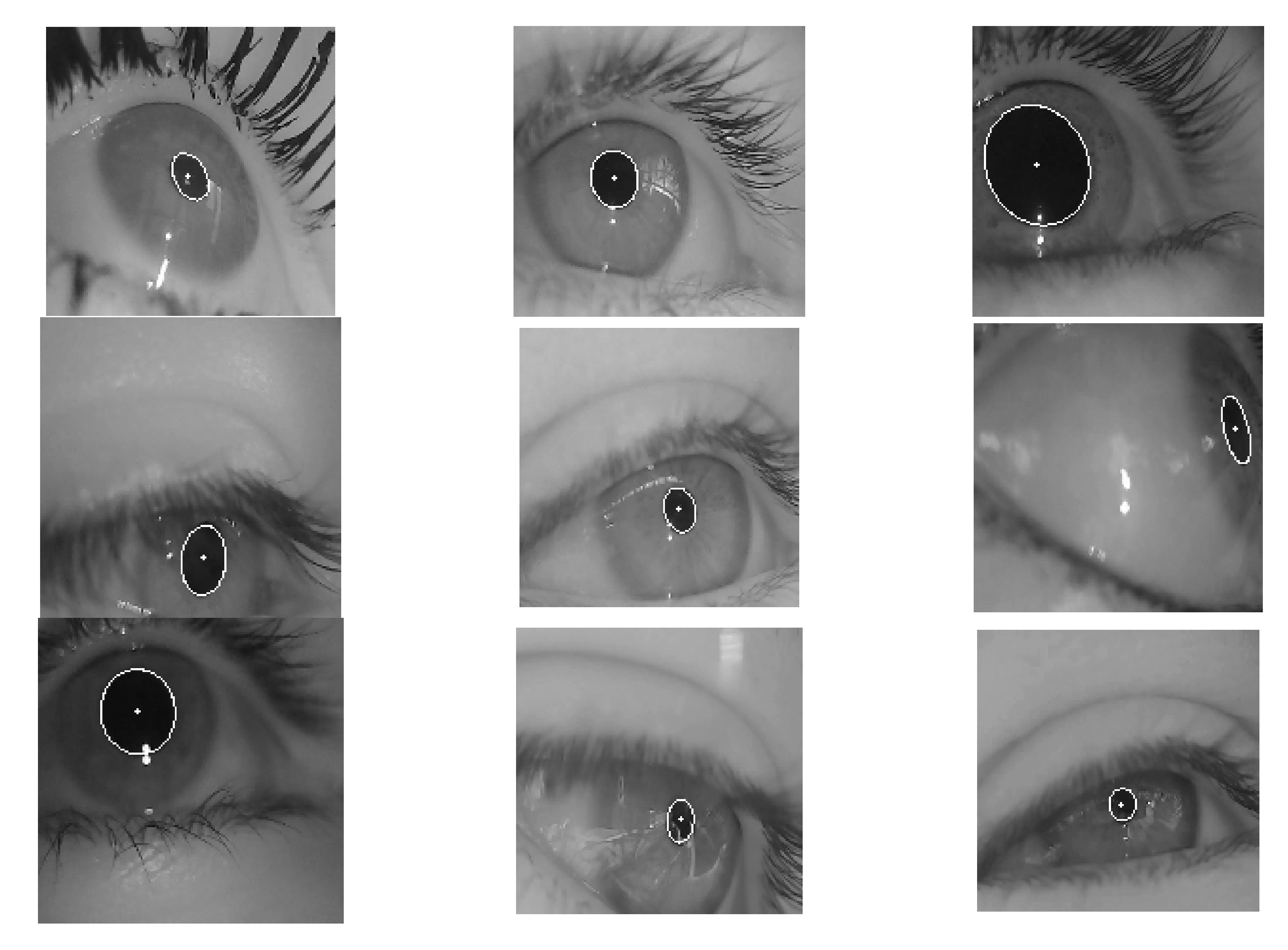 Sensors 21 04965 g002