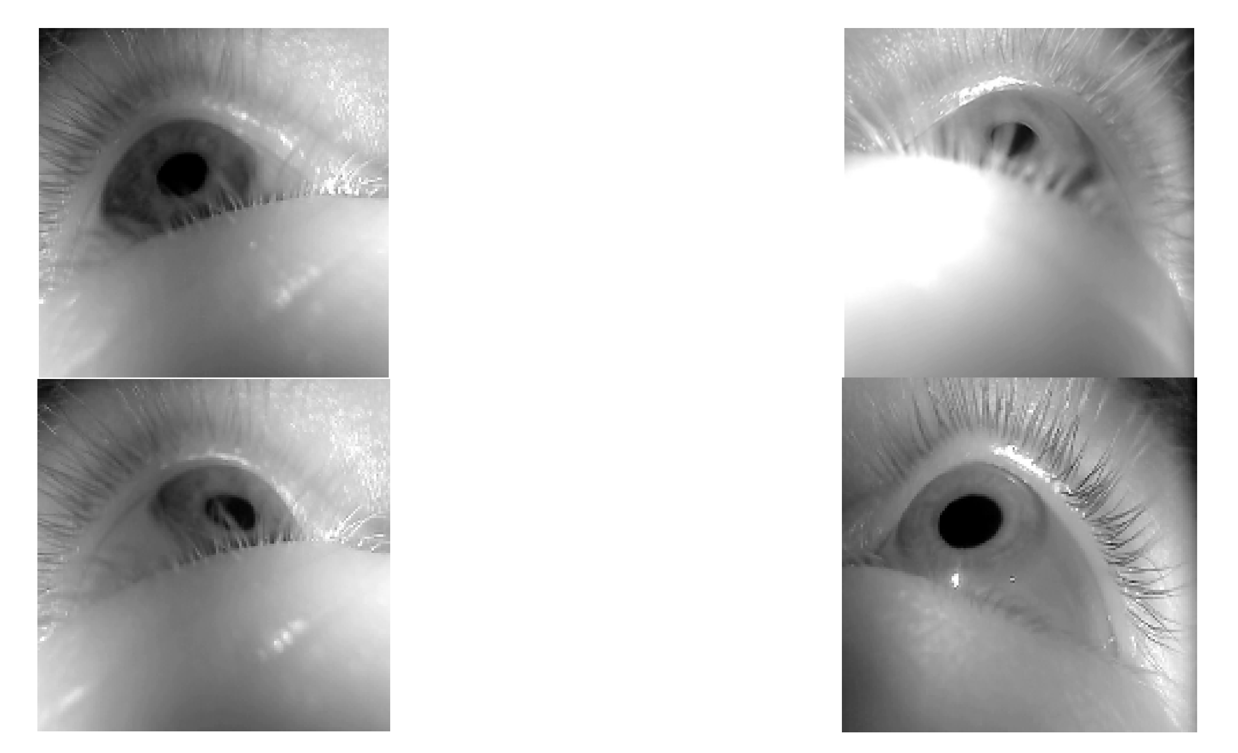 Sensors 21 04965 g005