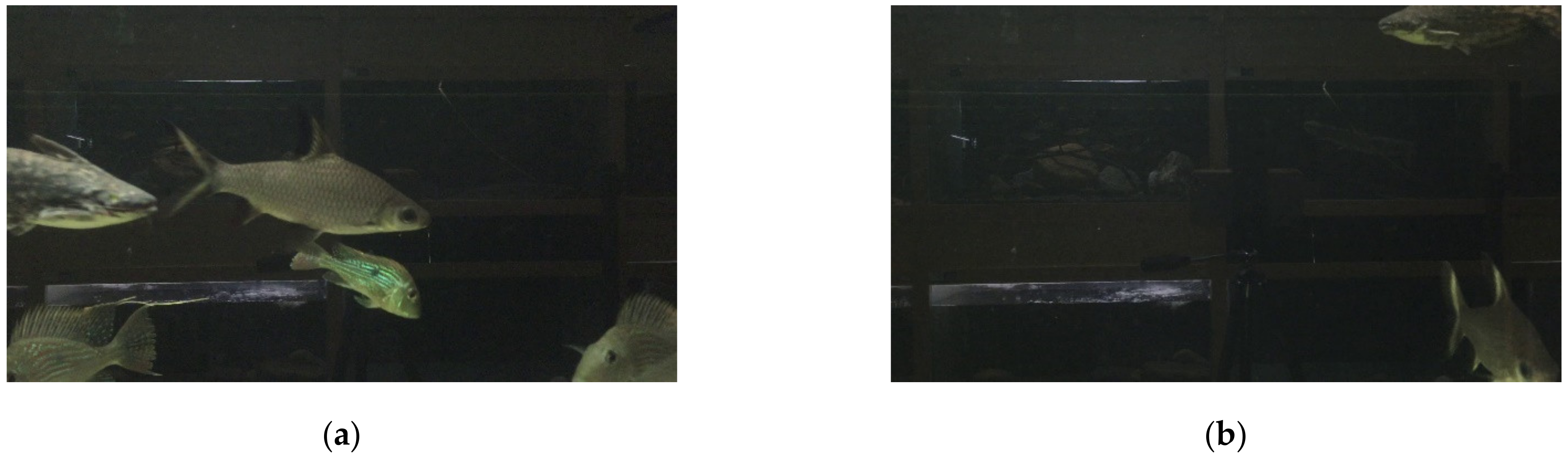 Sensors 21 04966 g001