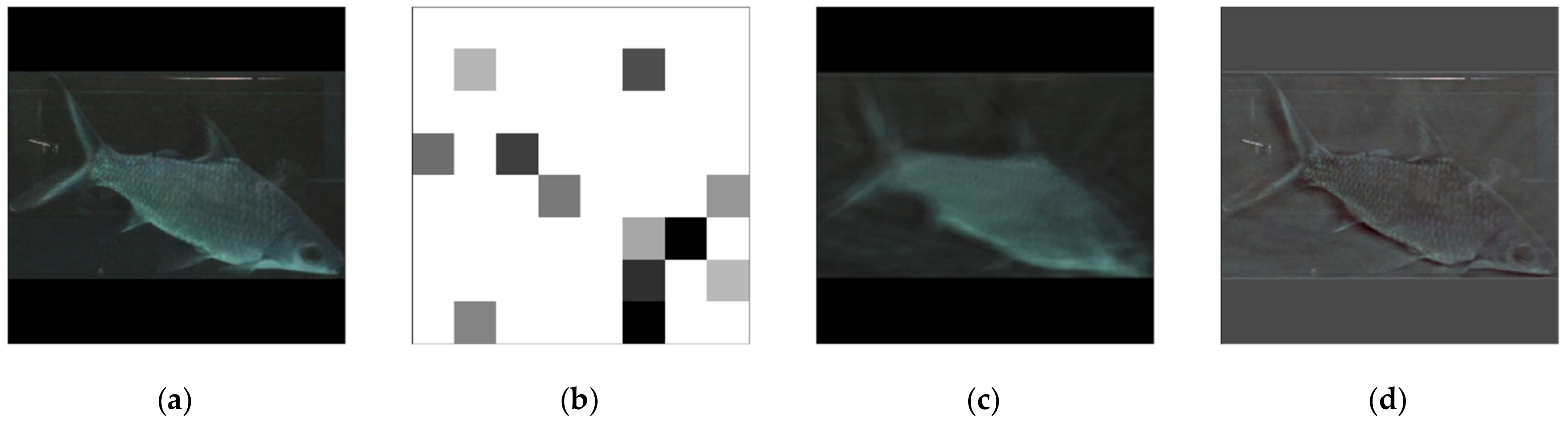 Sensors 21 04966 g004