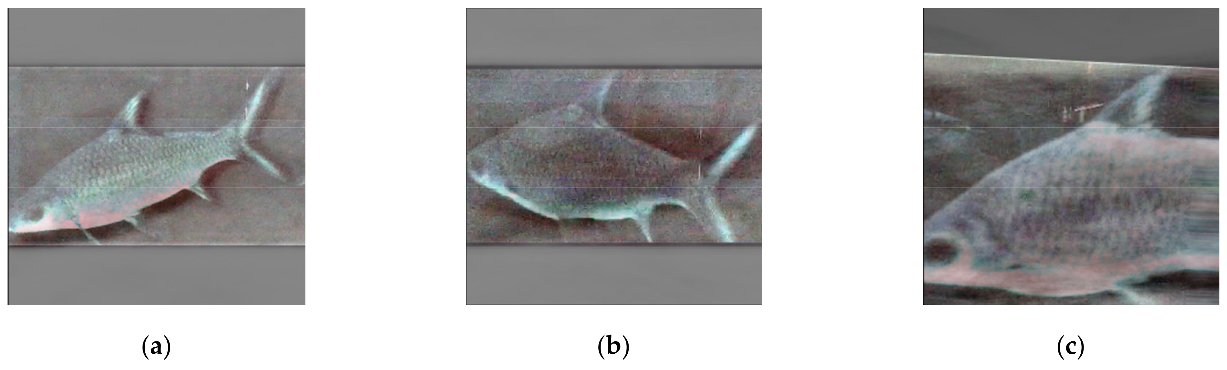 Sensors 21 04966 g005