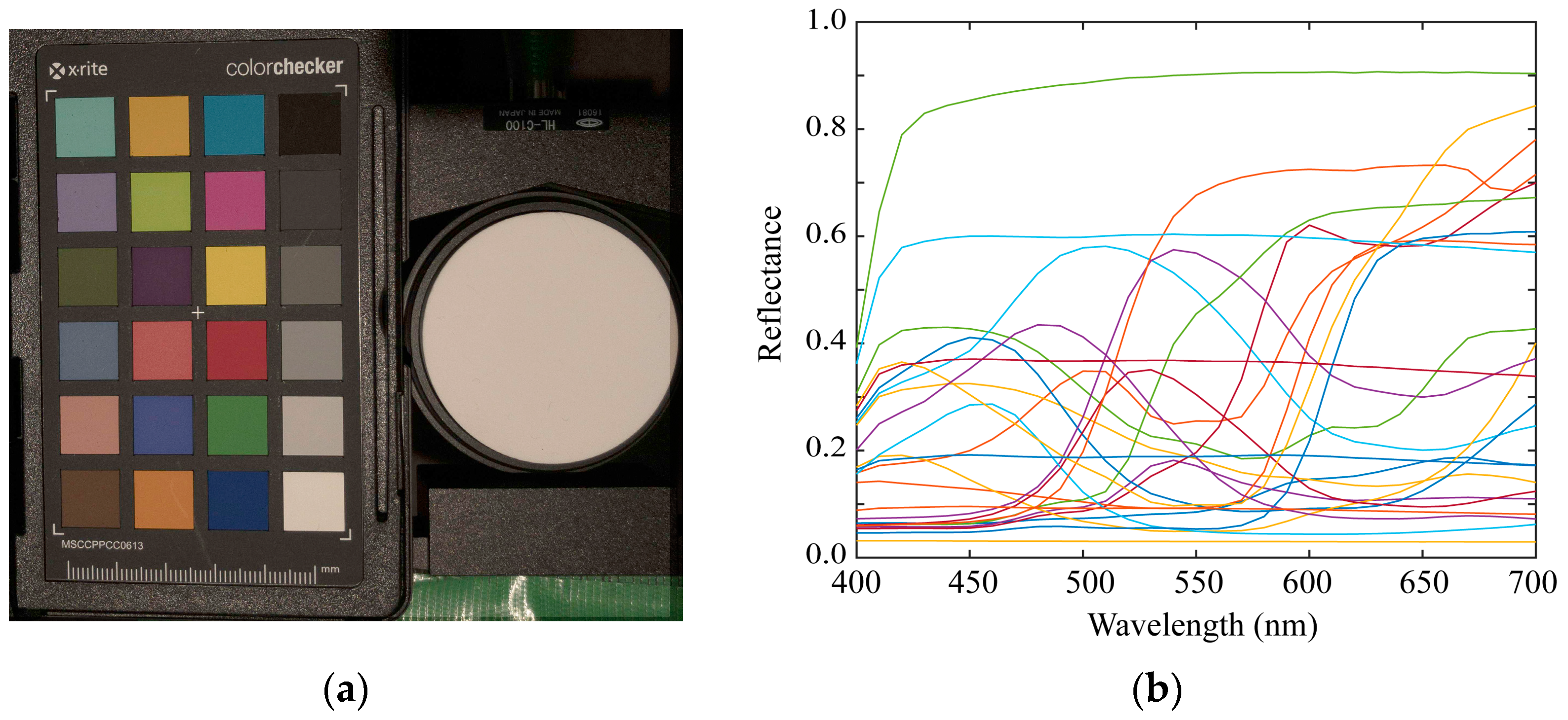 Sensors 21 04985 g010