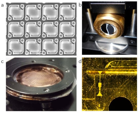 Sensors 21 04987 g001