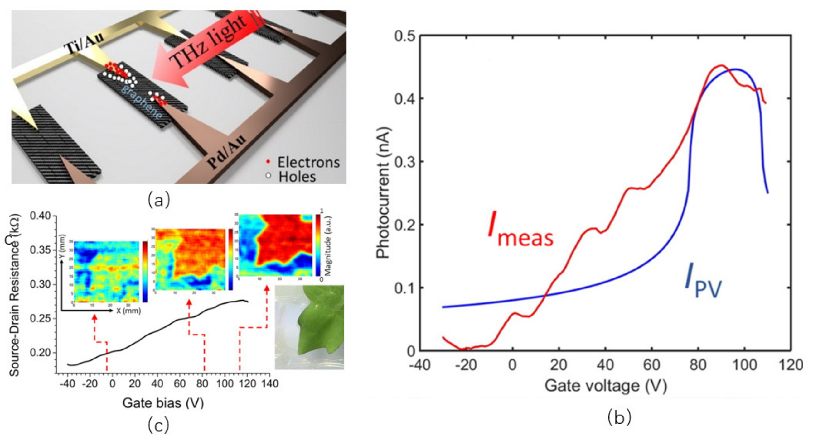 Sensors 21 04987 g004