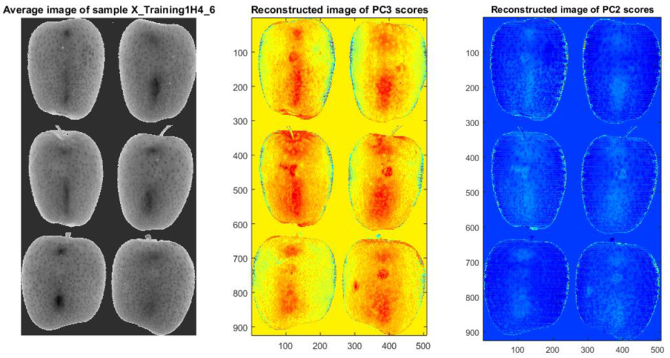 Sensors 21 04990 g006