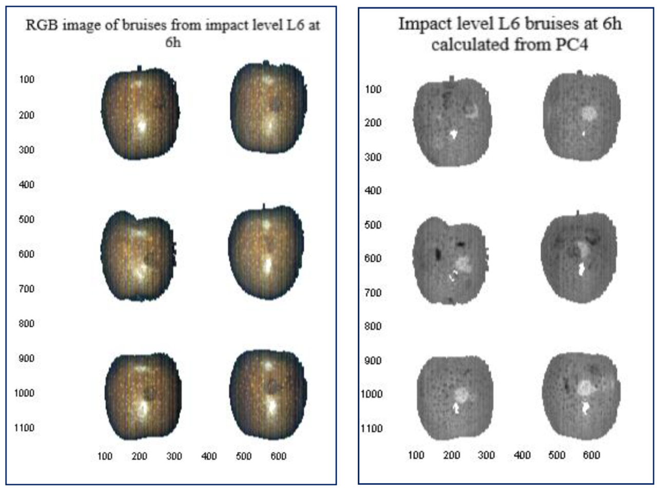 Sensors 21 04990 g007