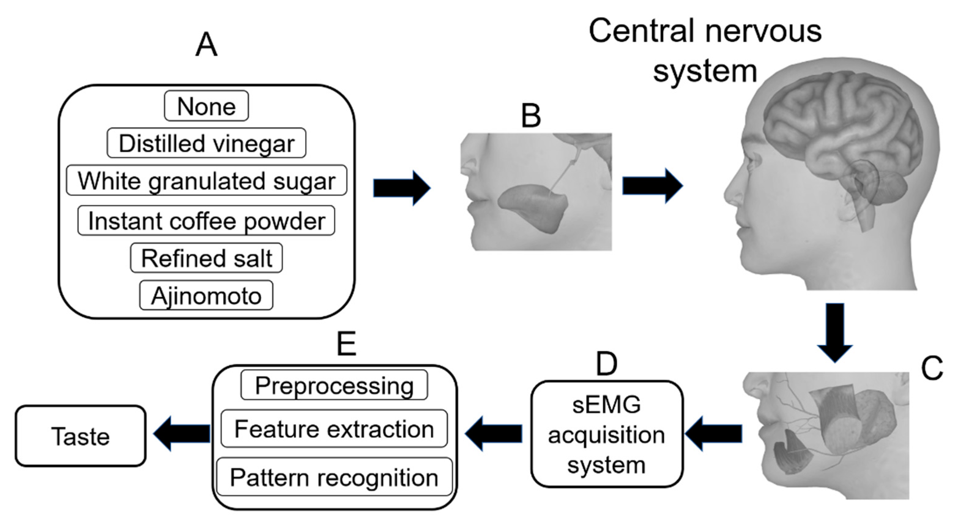 Sensors 21 04994 g001