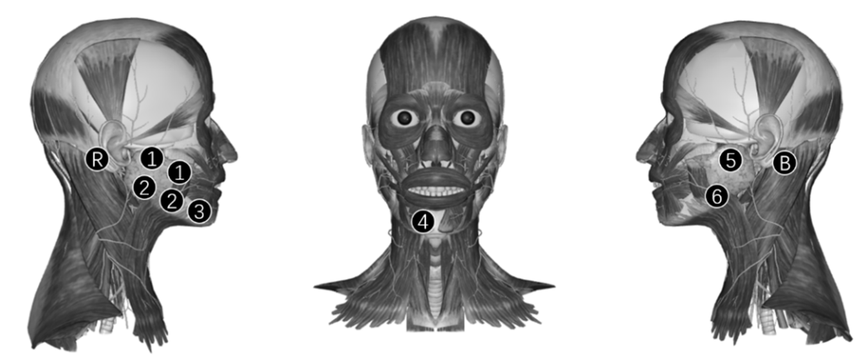 Sensors 21 04994 g002