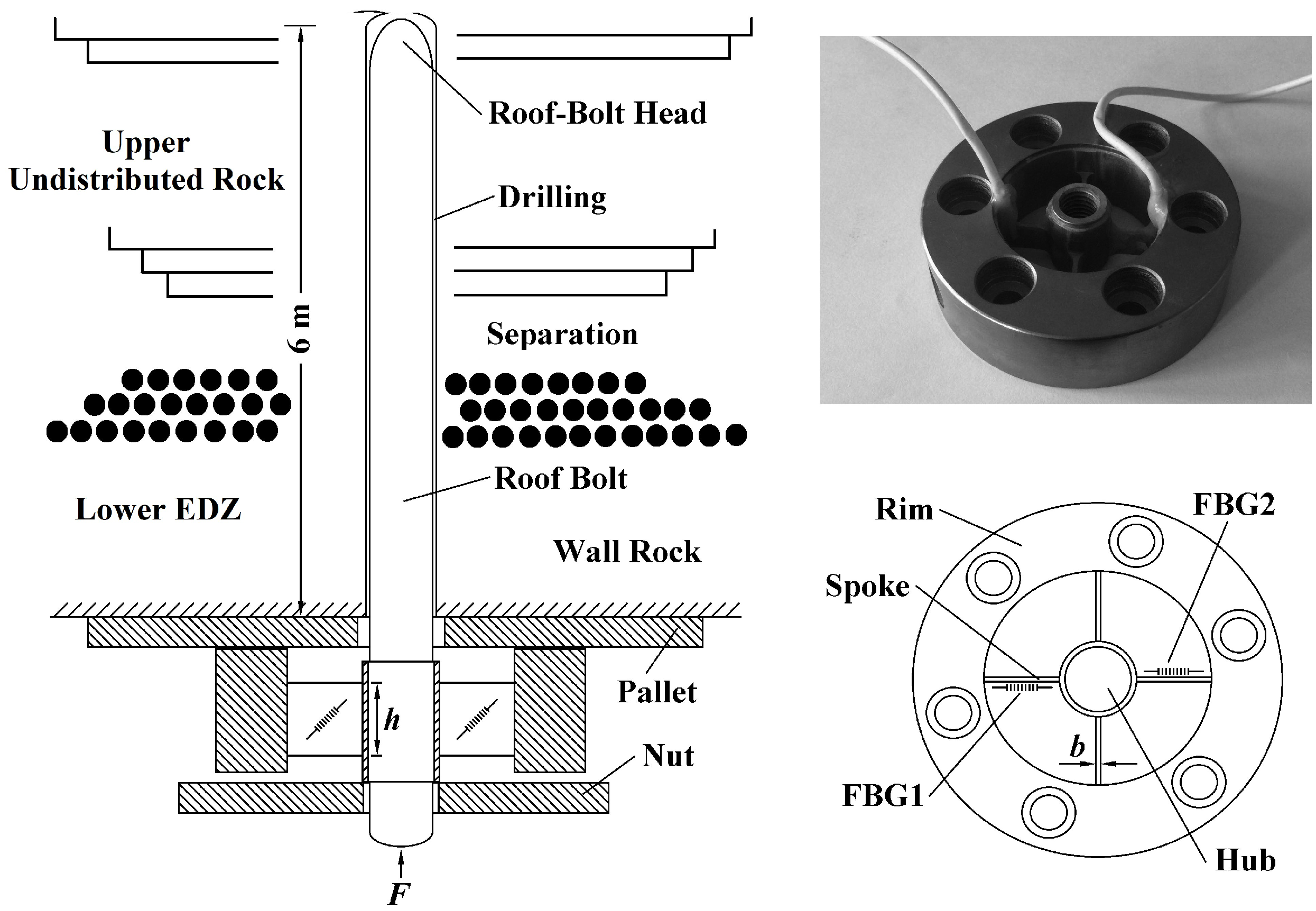 Sensors 21 05008 g001
