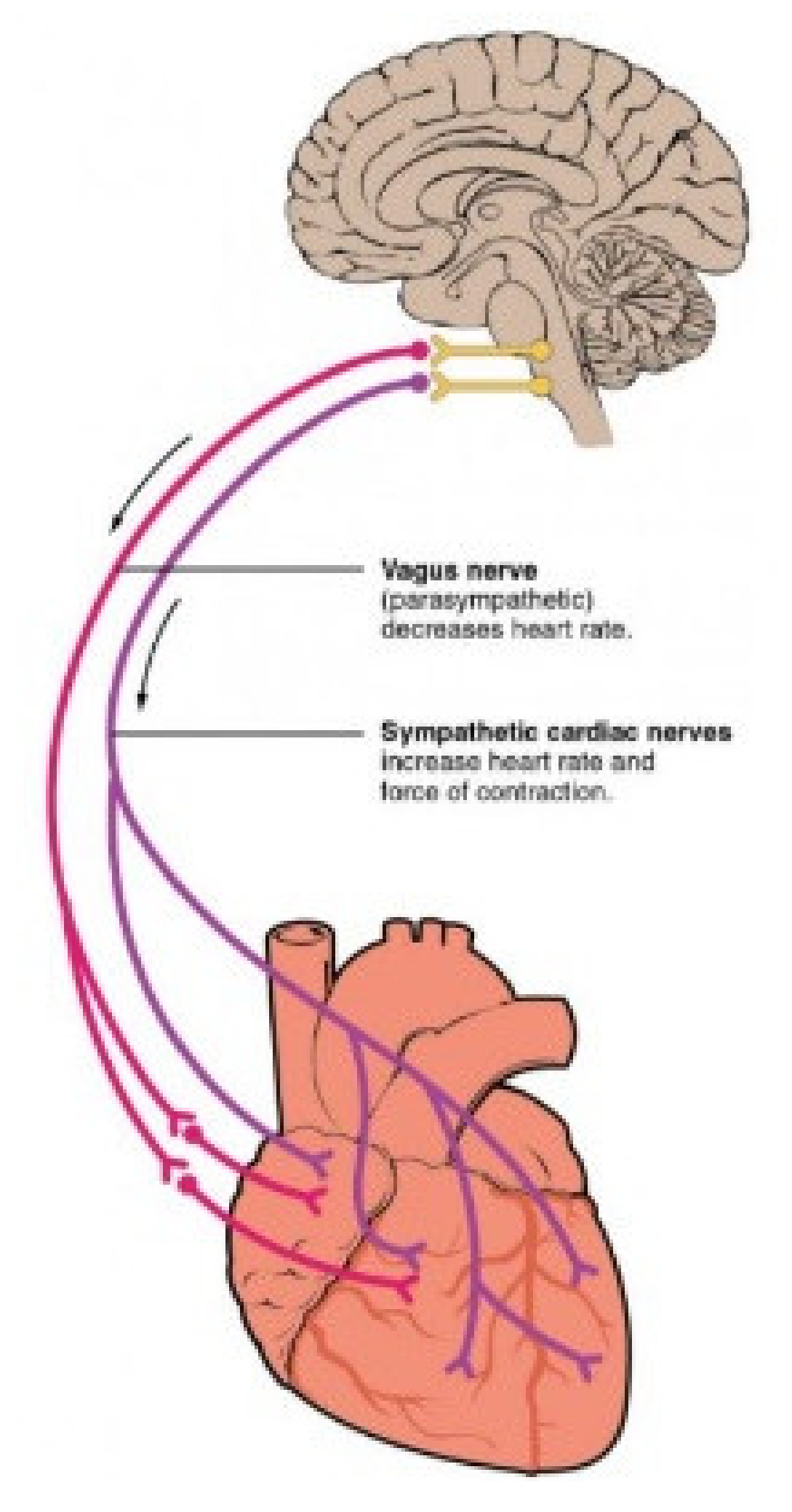 Sensors 21 05015 g002