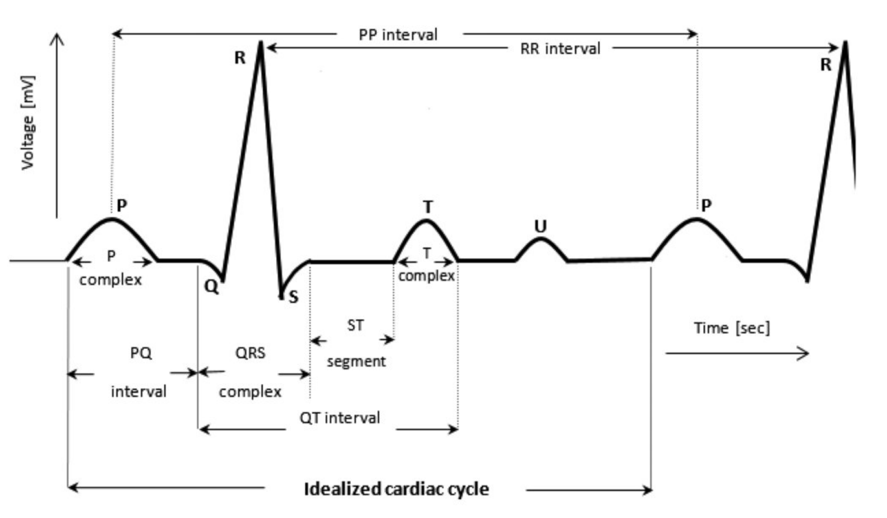 Sensors 21 05015 g003