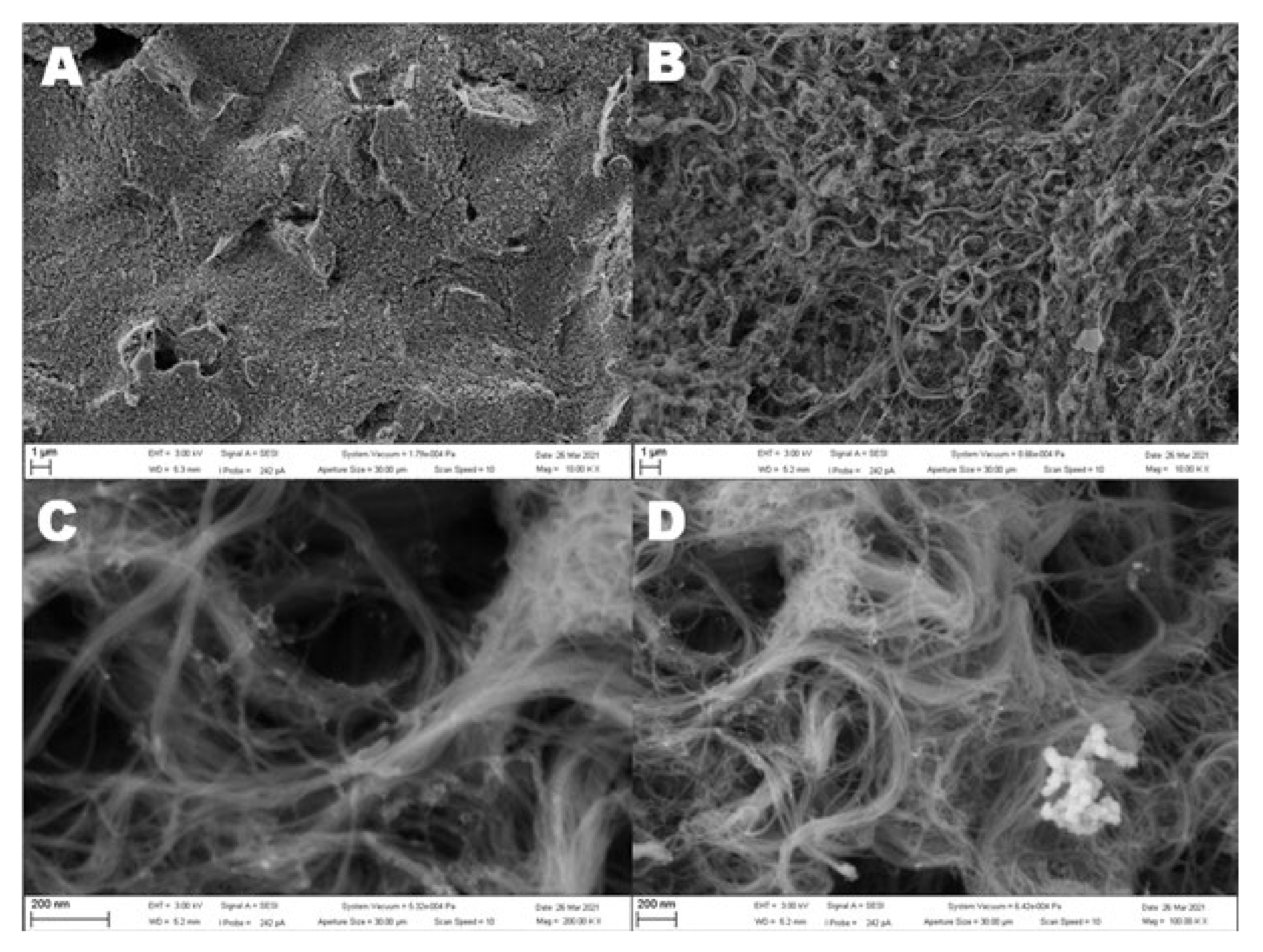 Sensors 21 05063 g002