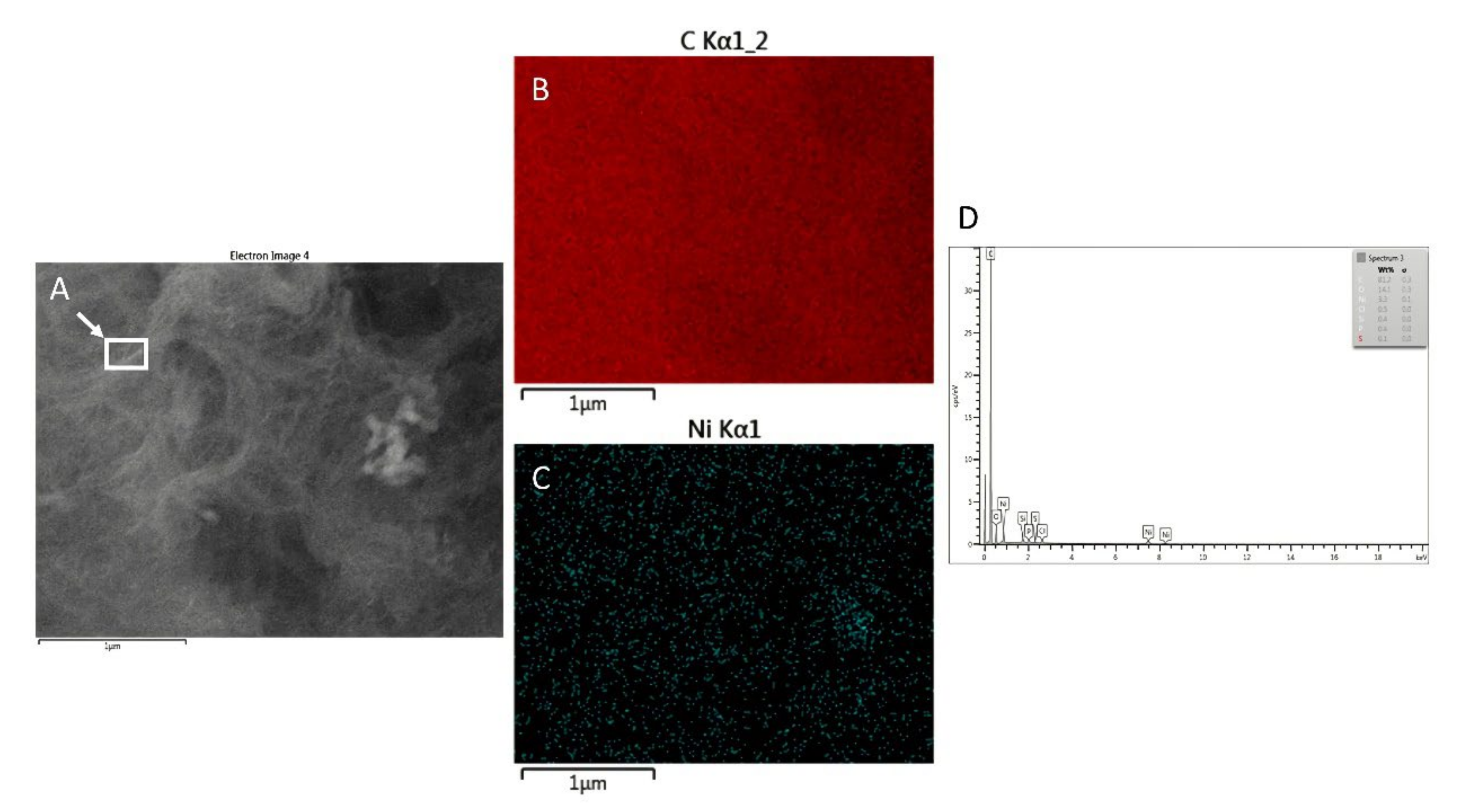 Sensors 21 05063 g004
