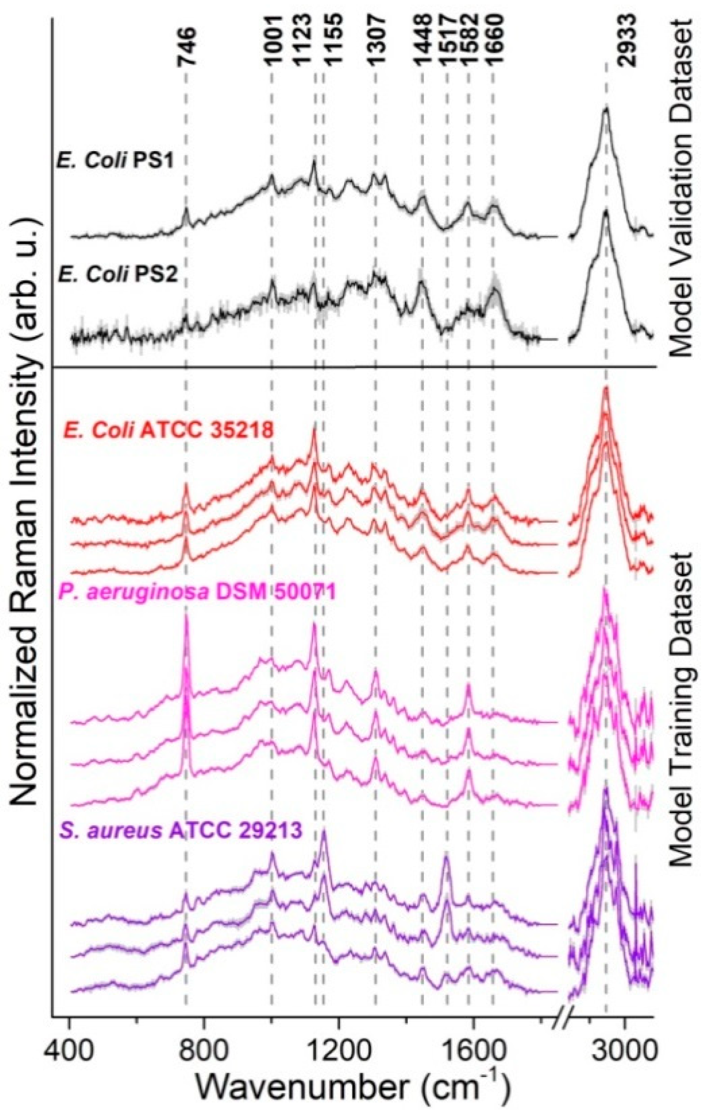 Sensors 21 05067 g004