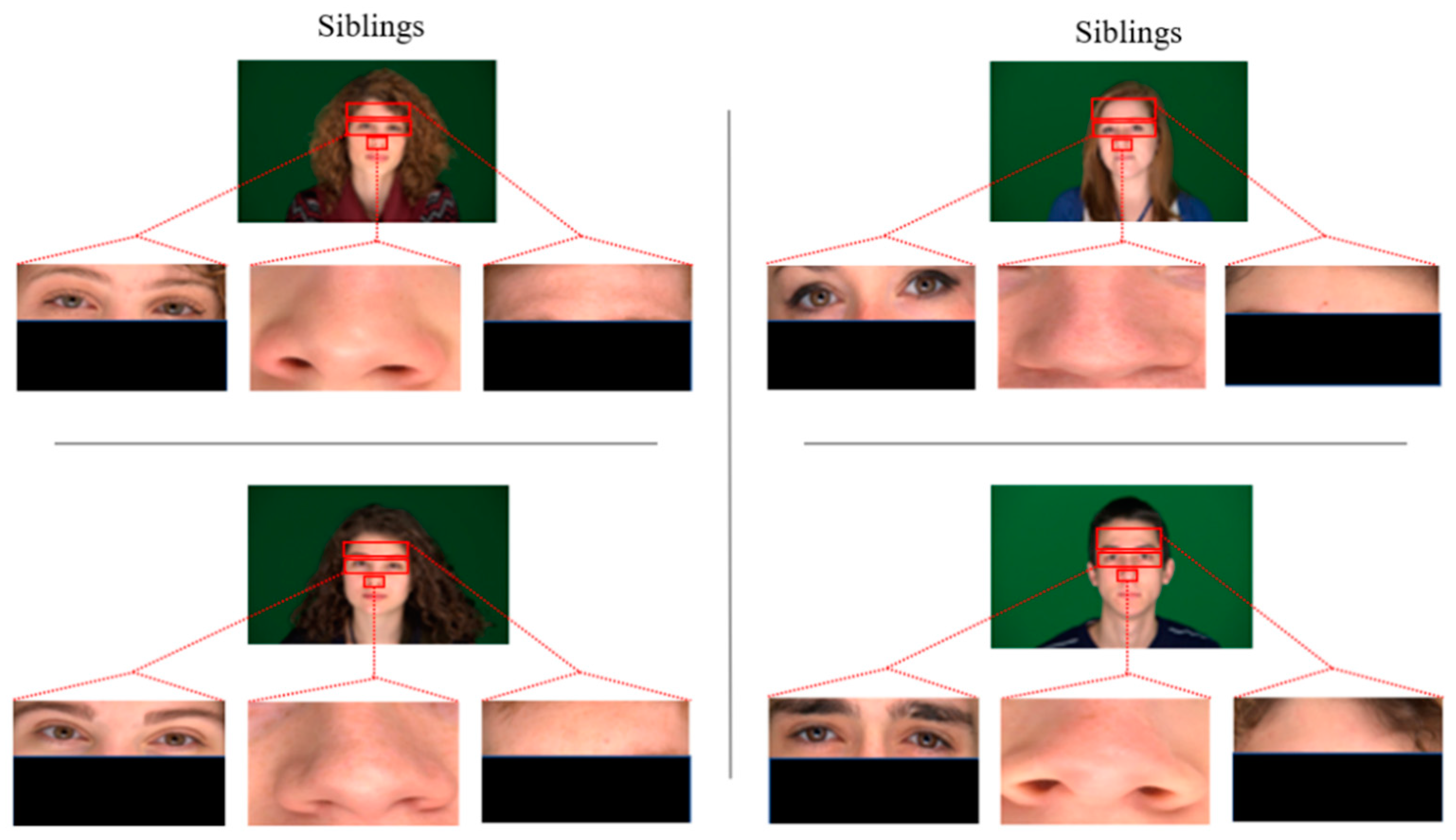 Sensors 21 05068 g002