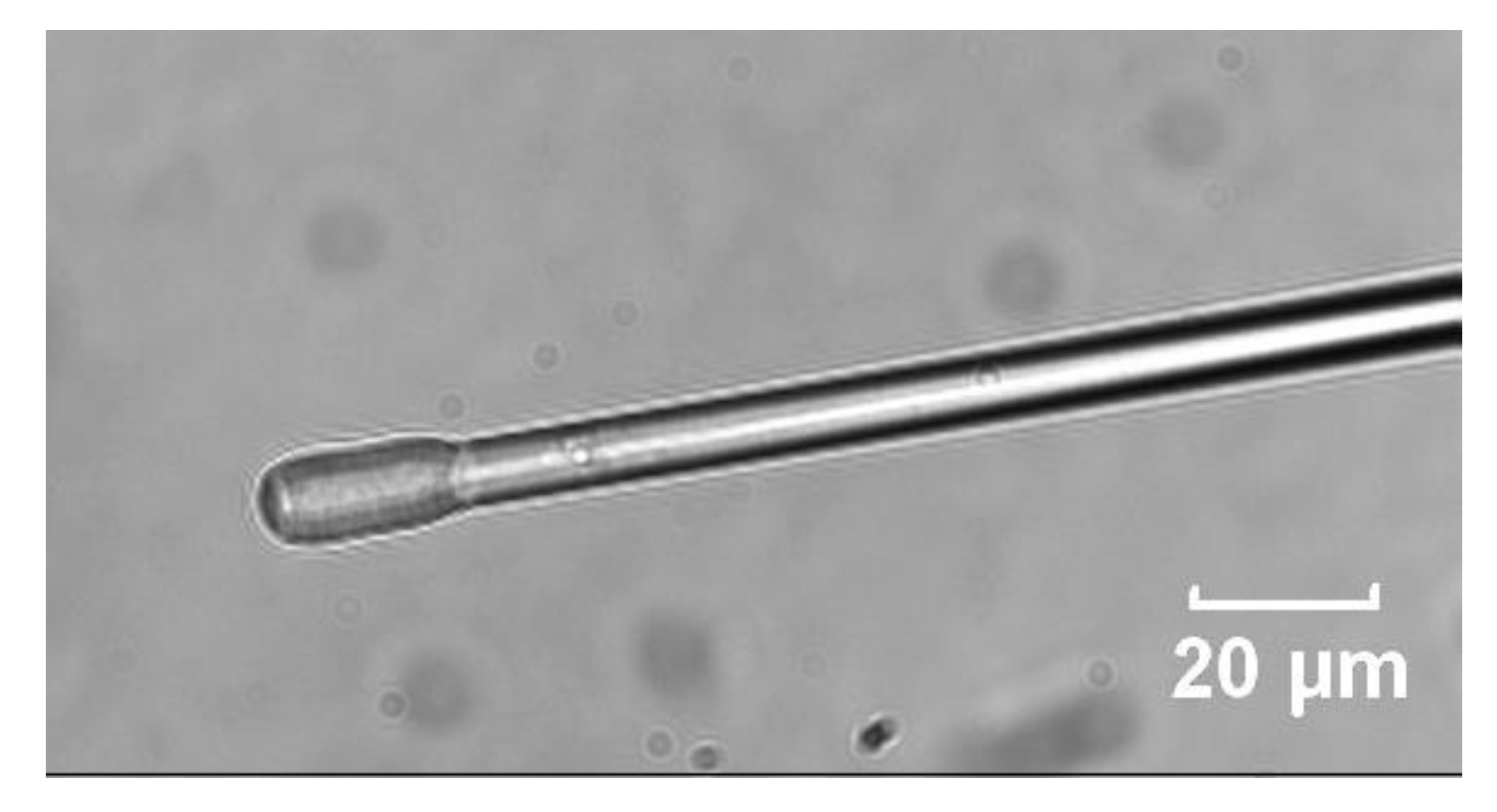 Sensors 21 05075 g001 Sensors 21 05075 g001