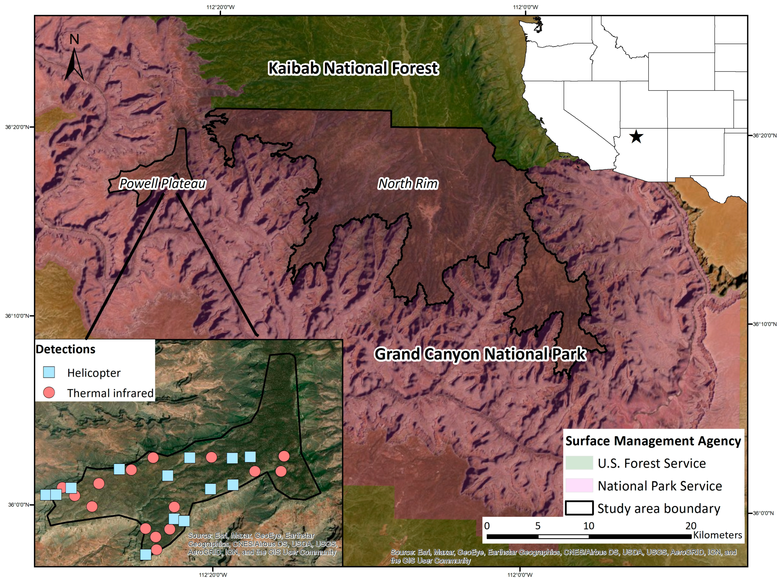 Sensors 21 05087 g001