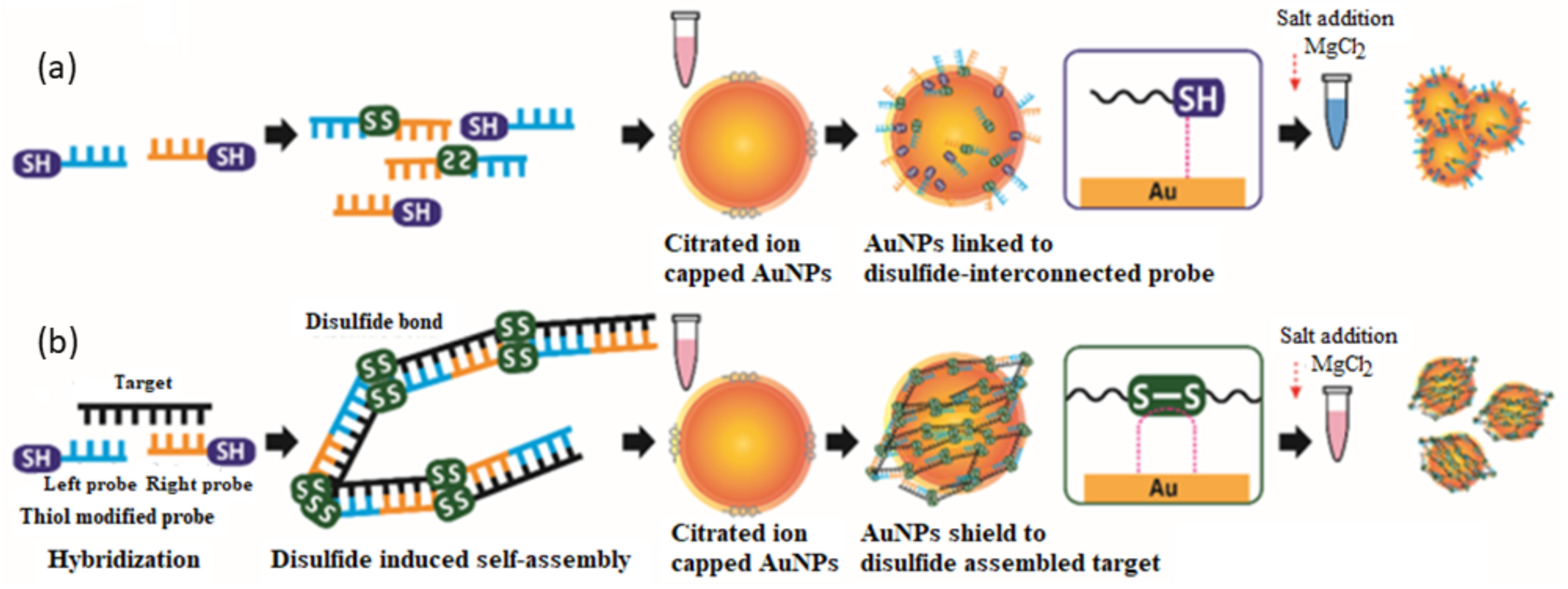 Sensors 21 05114 g005