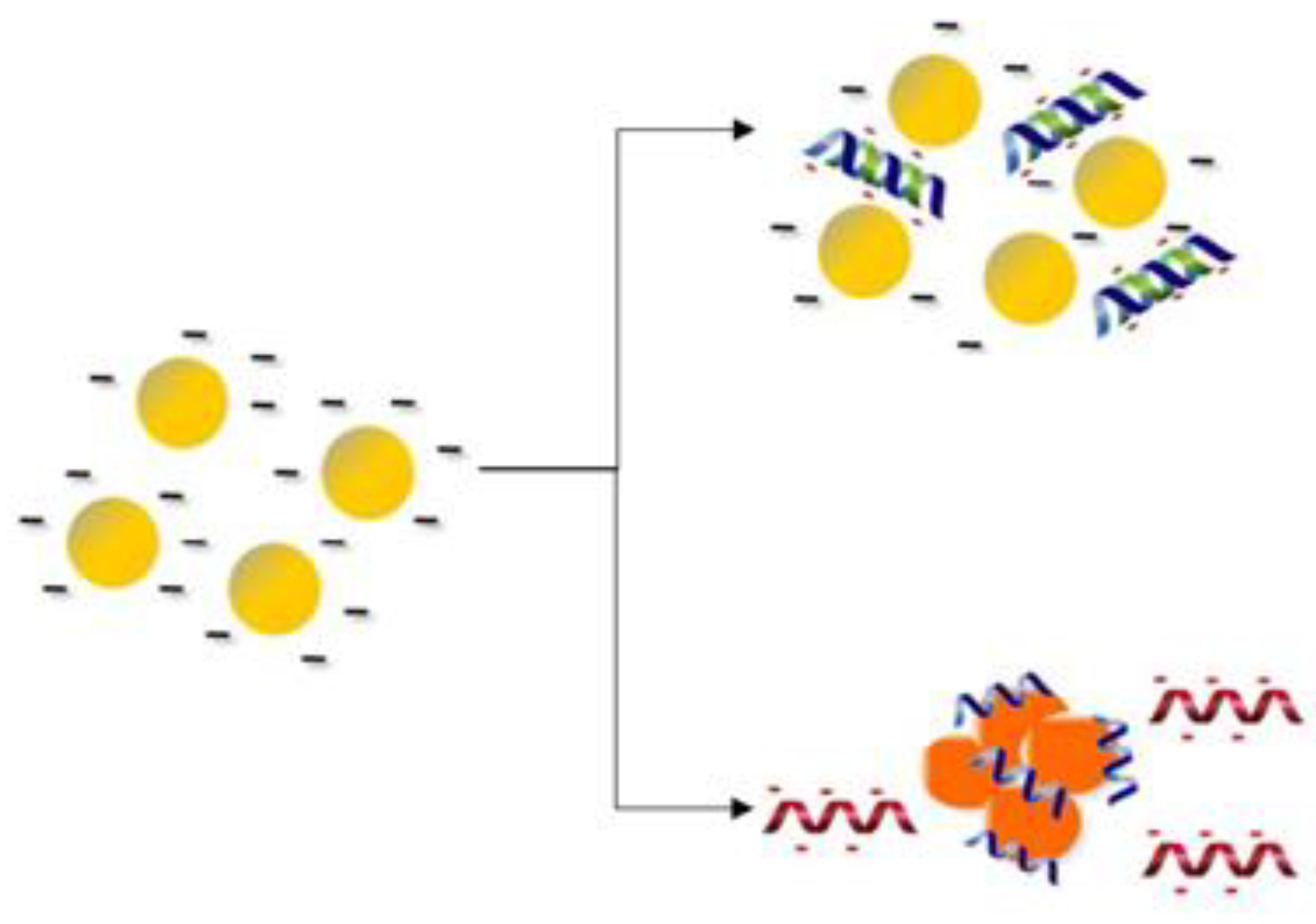 Sensors 21 05114 g006