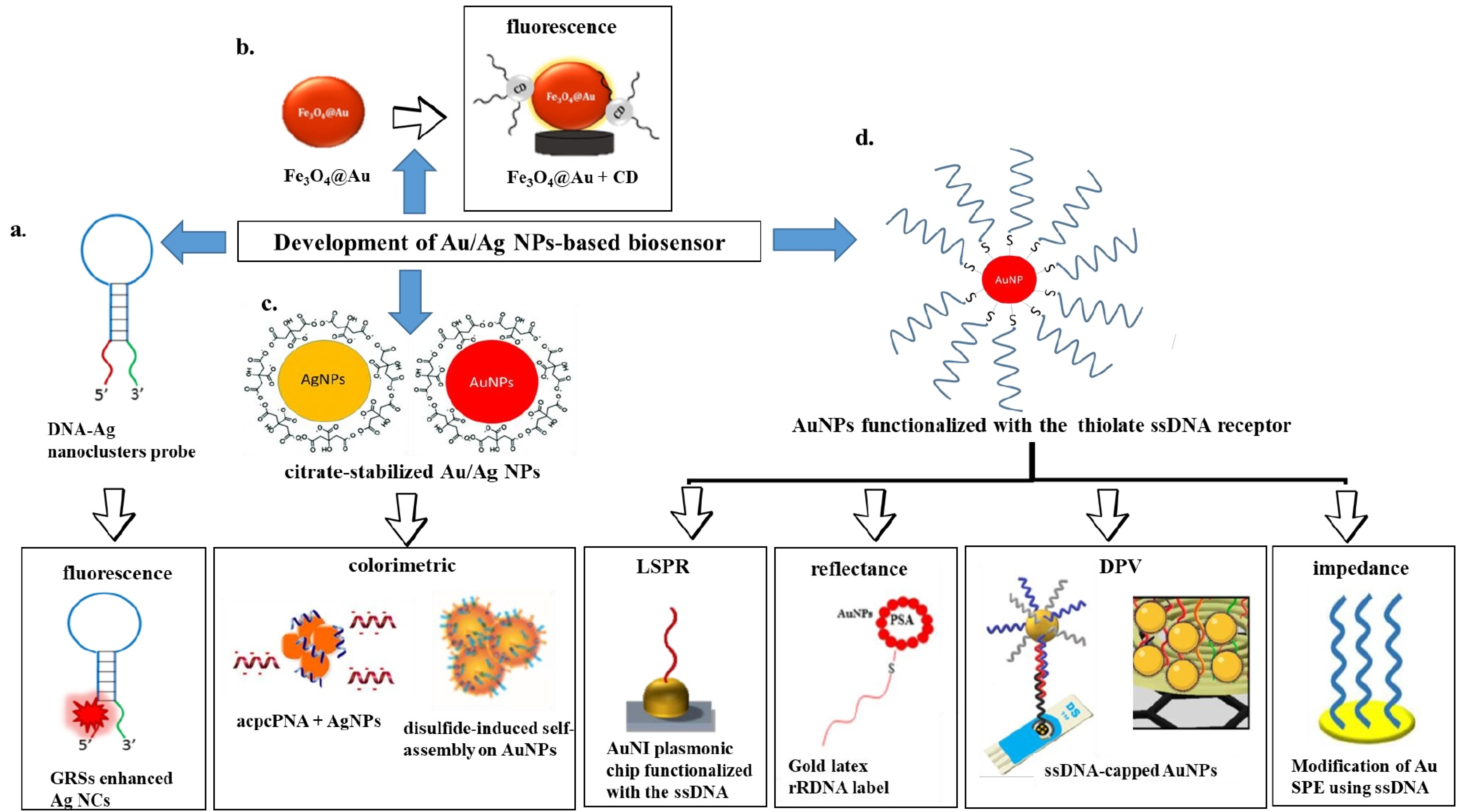 Sensors 21 05114 g010