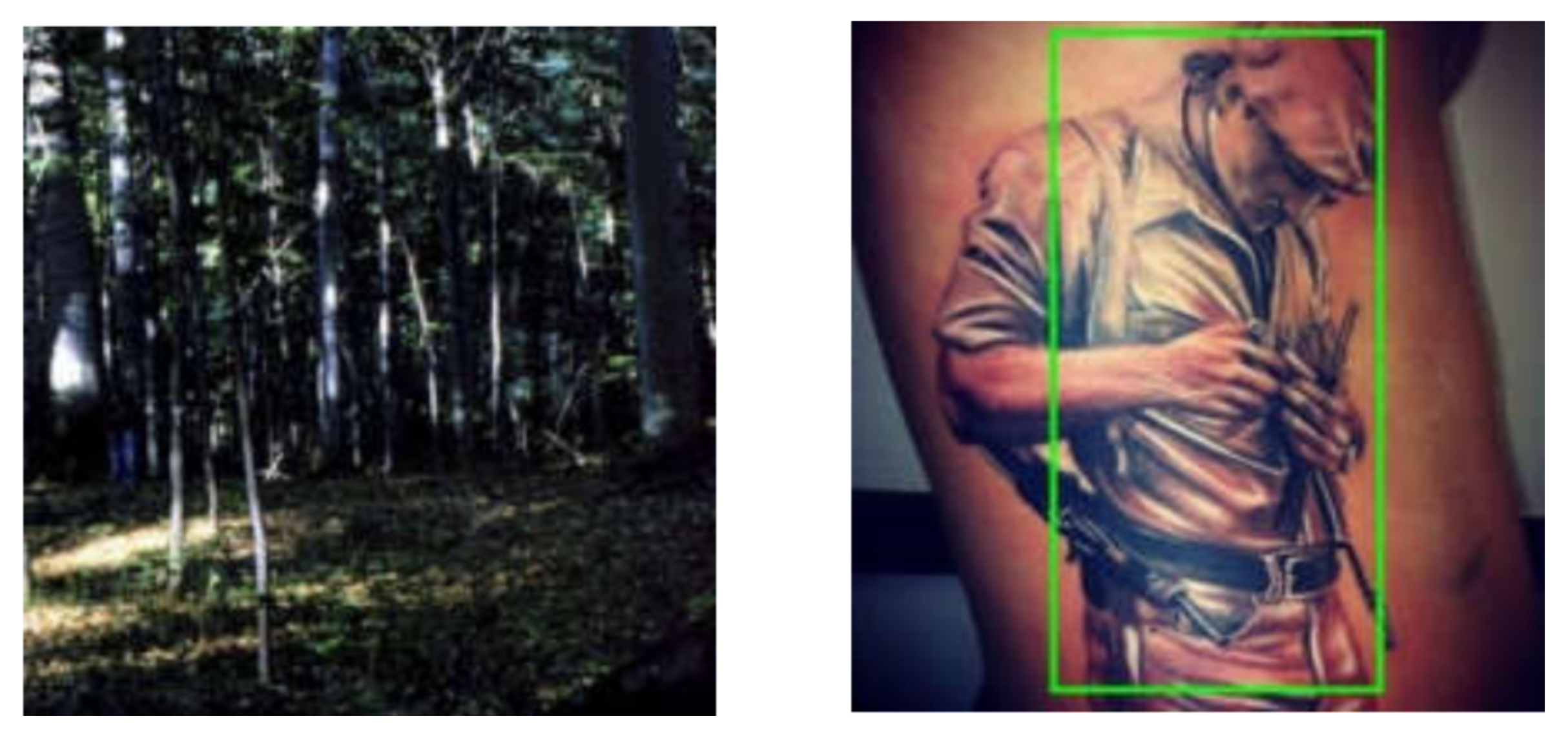 Sensors 21 05116 g018