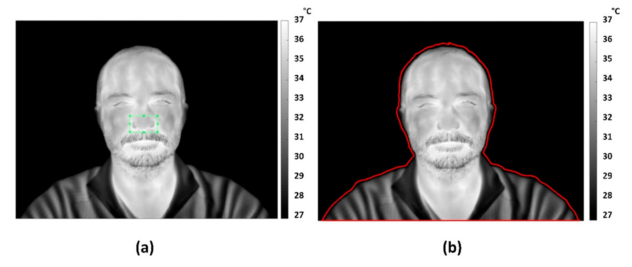 Sensors 21 05117 g001