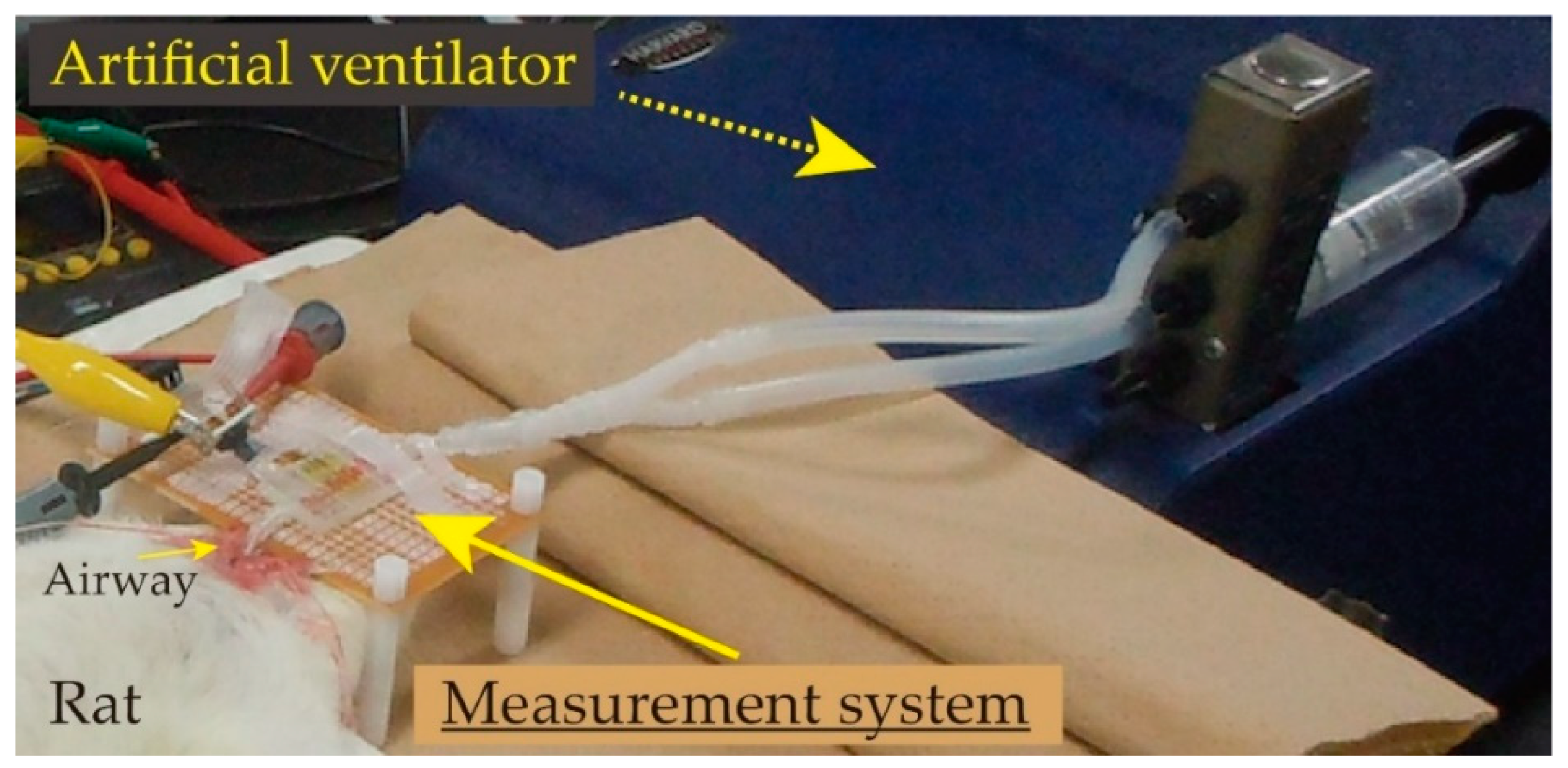 Sensors 21 05123 g010