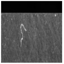 Sensors 21 05125 i004