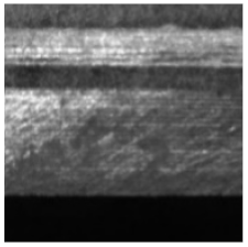 Sensors 21 05125 i009