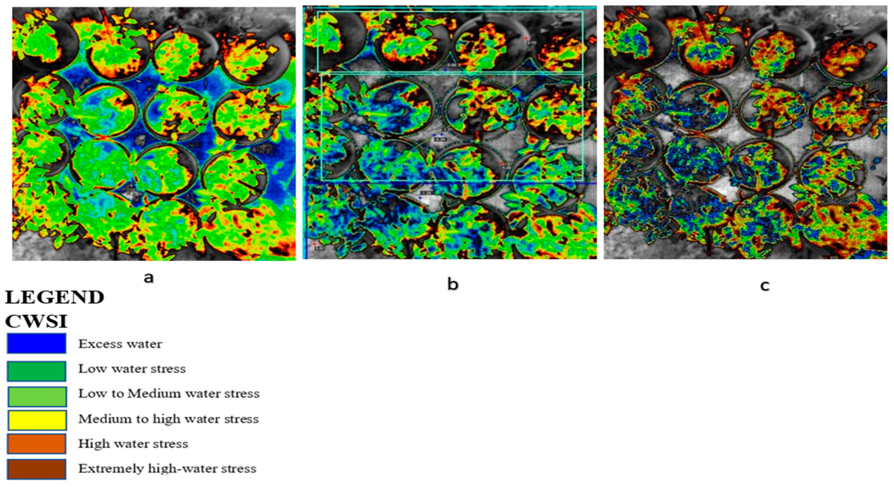 Sensors 21 05142 g005