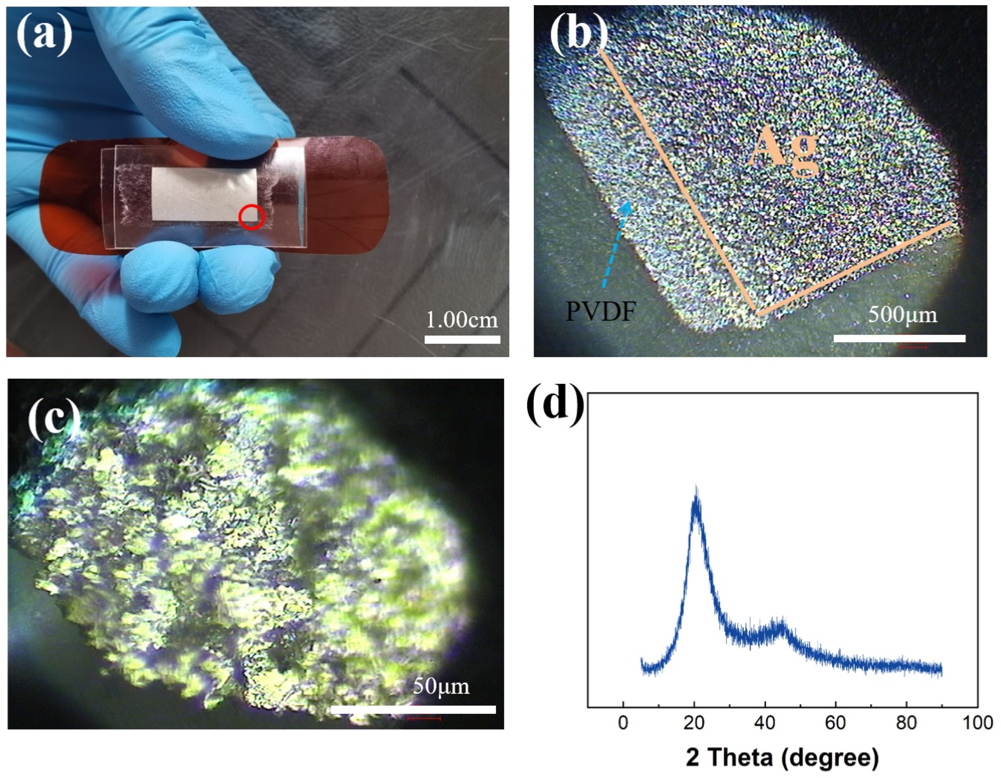 Sensors 21 05144 g002