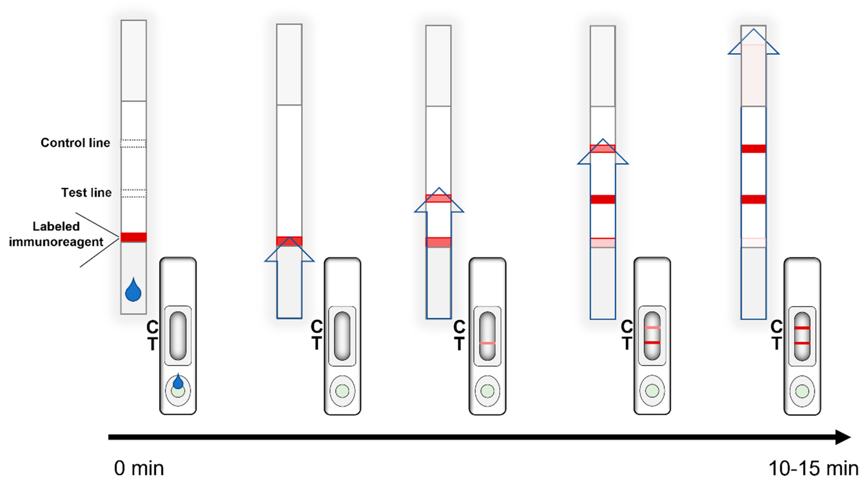 Sensors 21 05185 g003