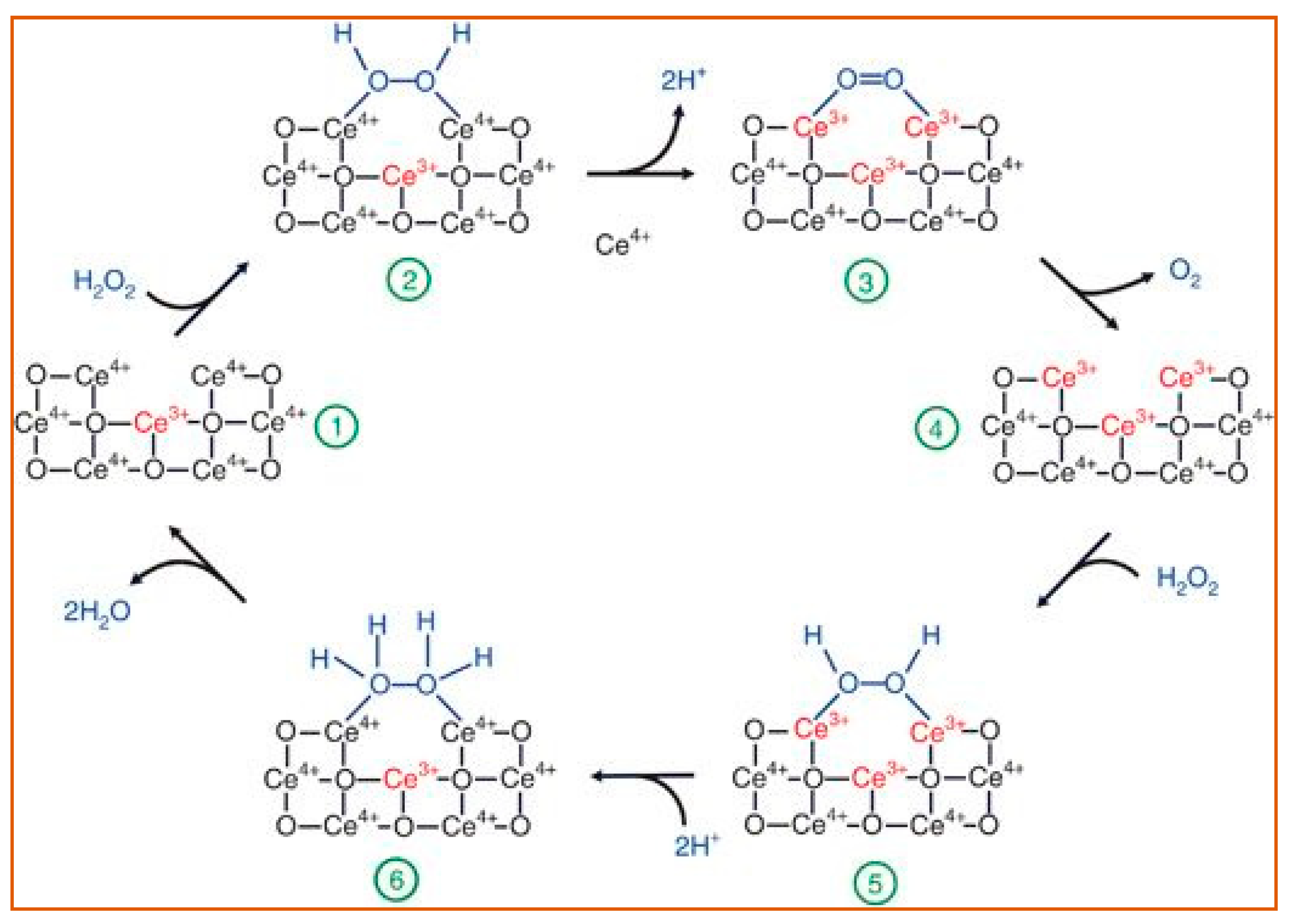 Sensors 21 05201 g007