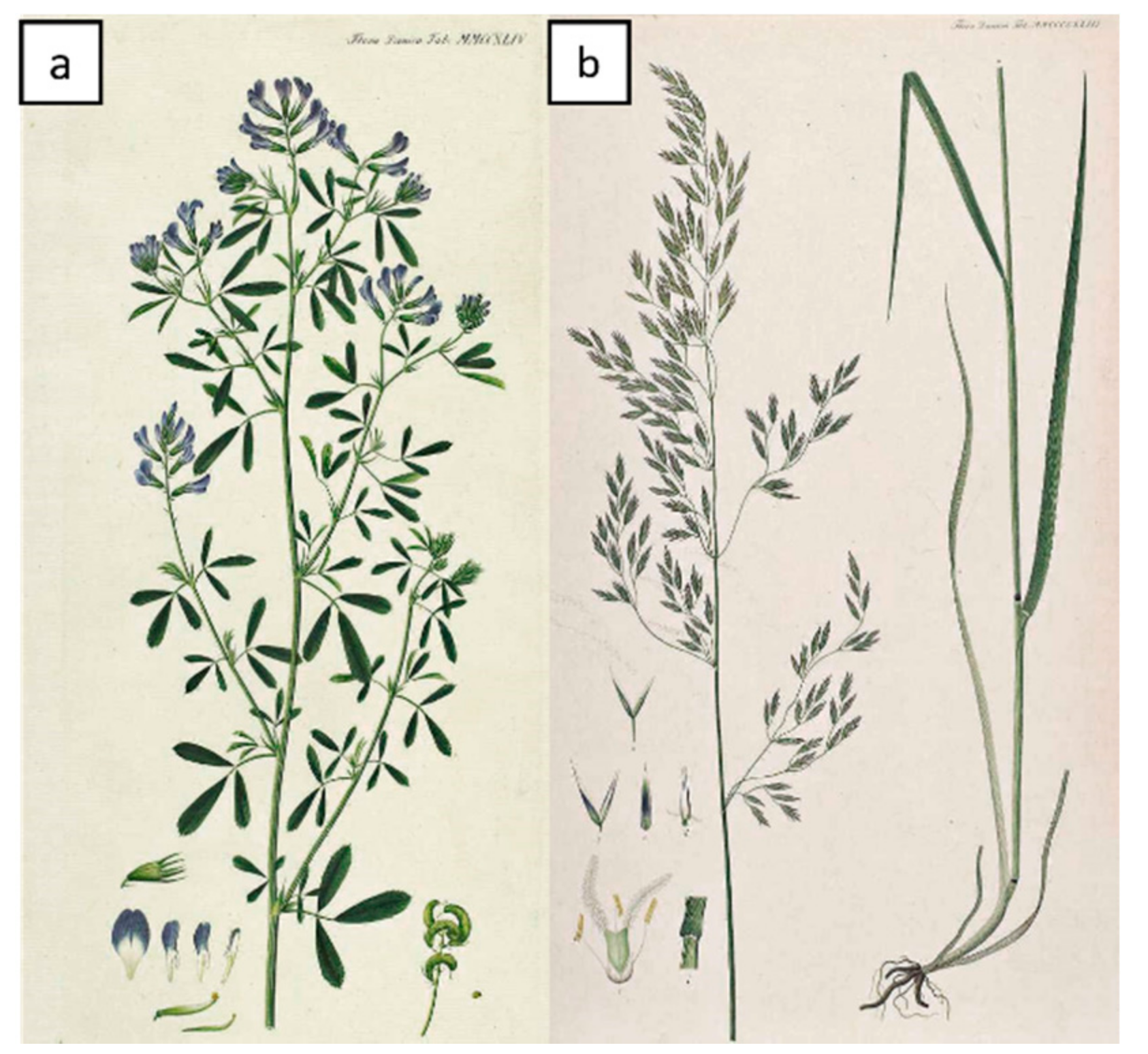 Sensors 21 05231 g001