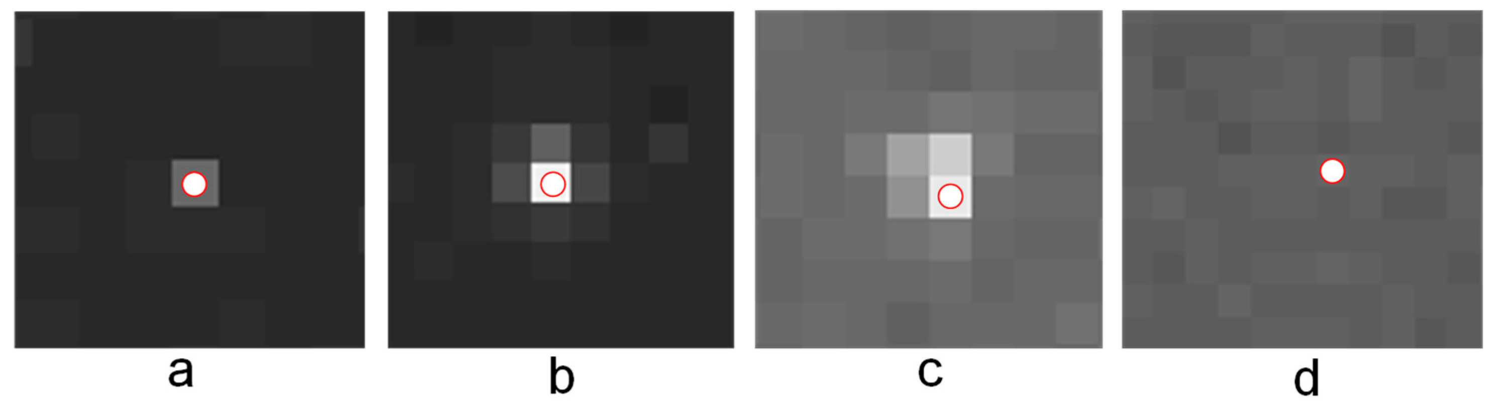 Sensors 21 05255 g007
