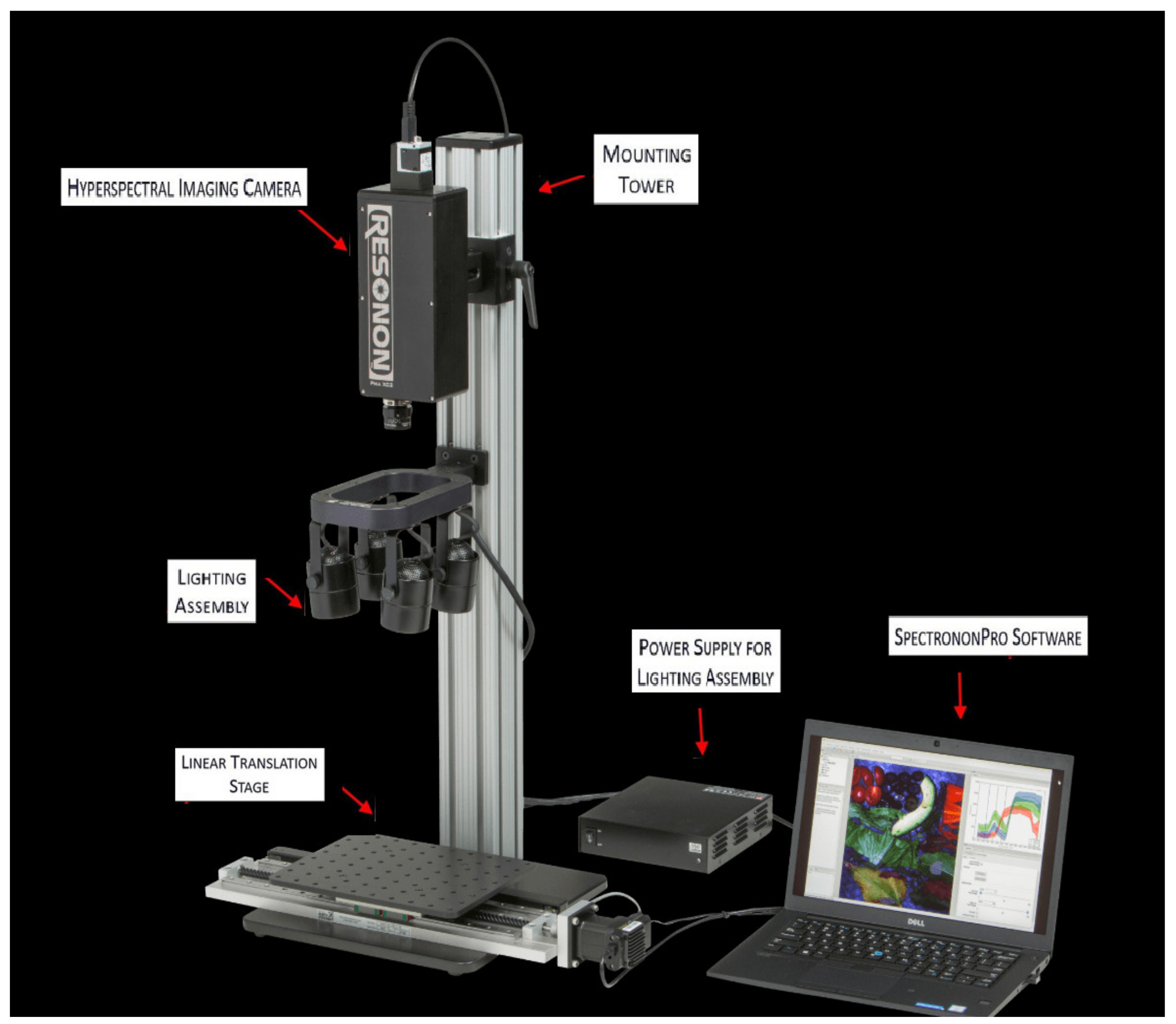 Sensors 21 05259 g005