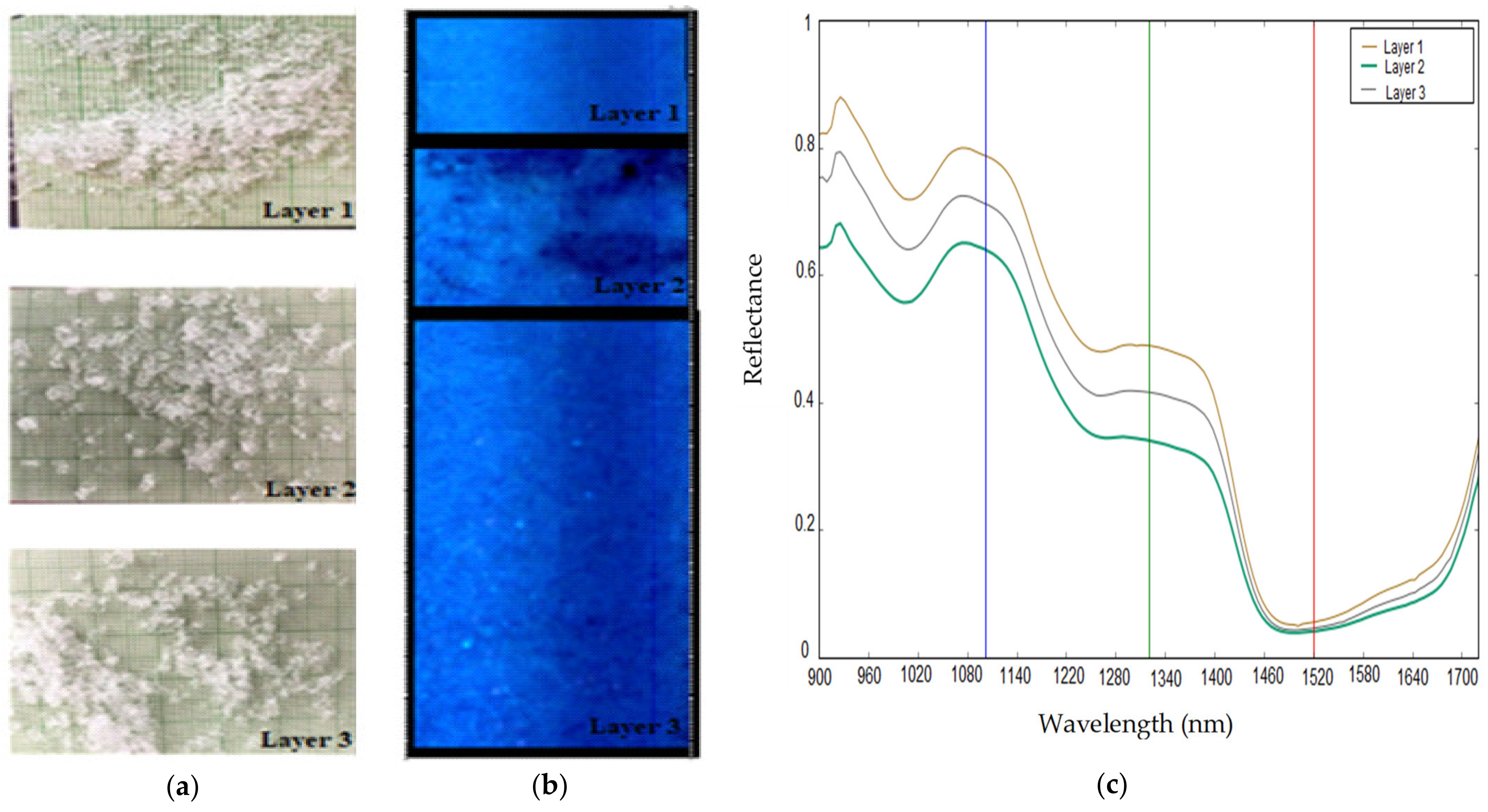 Sensors 21 05259 g008
