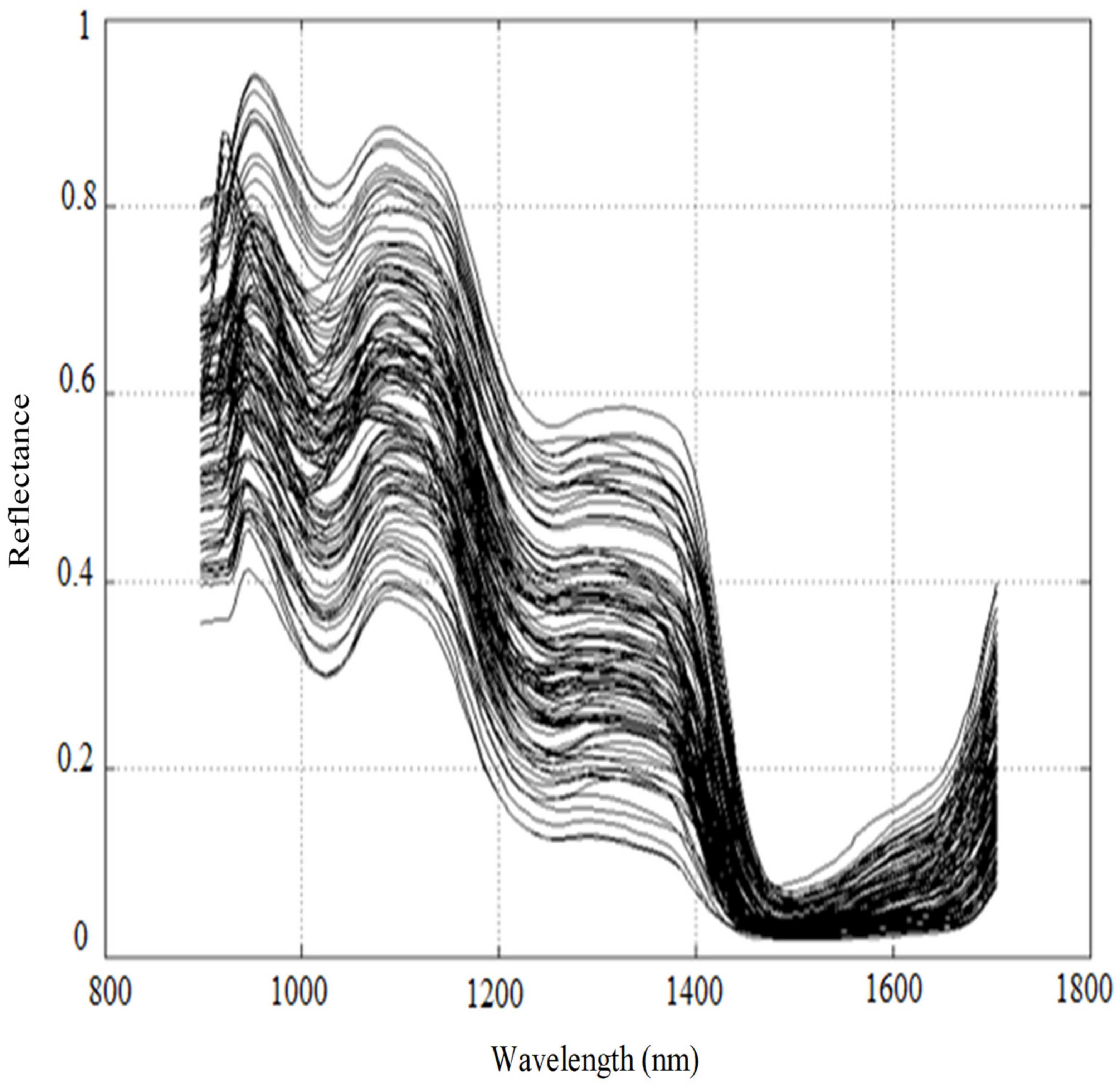 Sensors 21 05259 g010