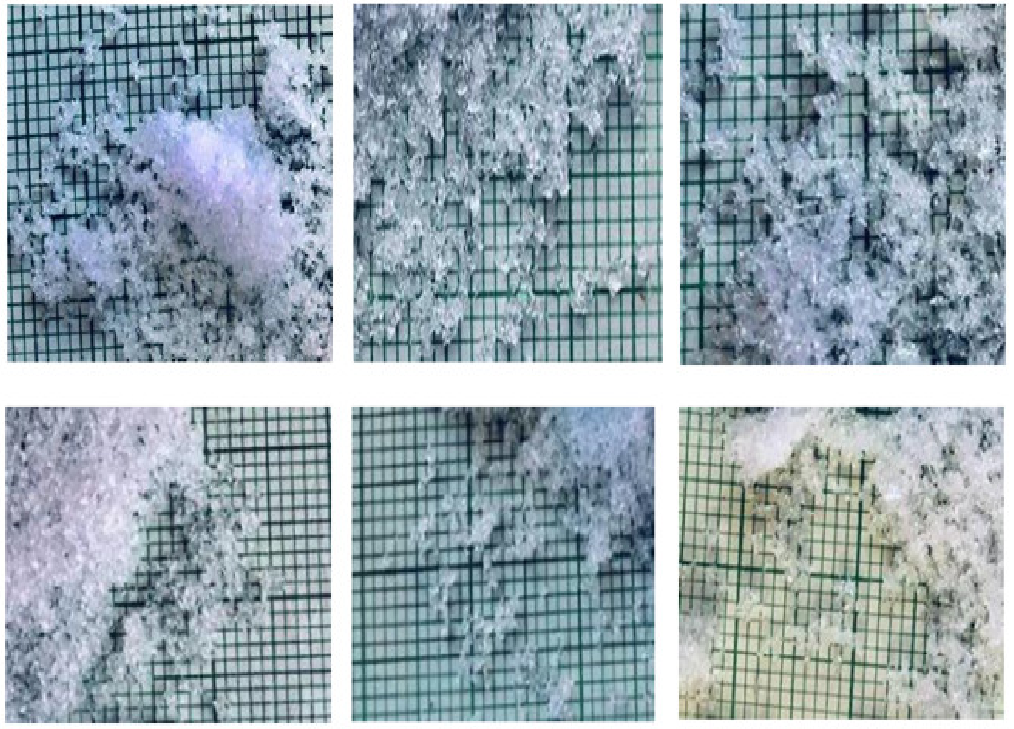 Sensors 21 05259 g016