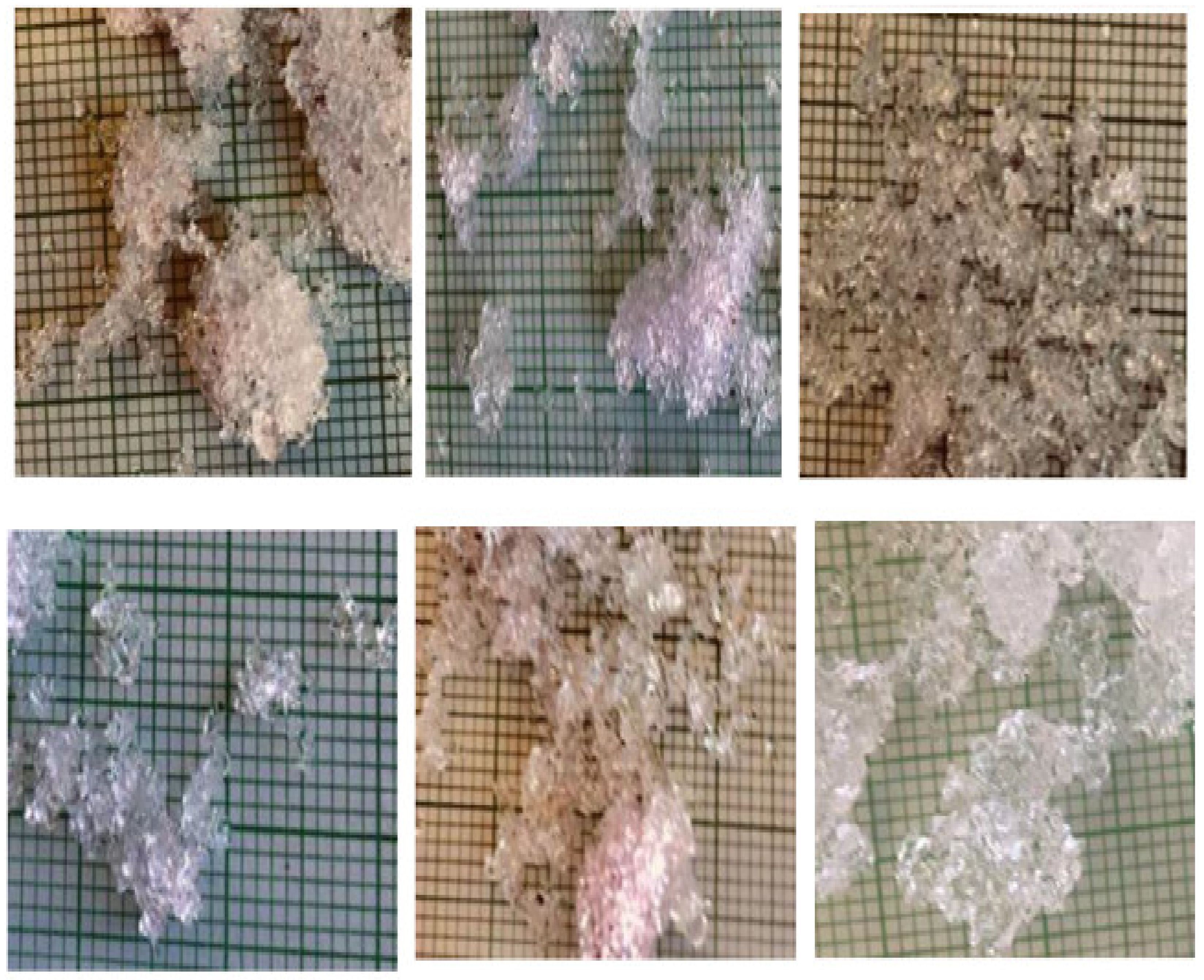 Sensors 21 05259 g017