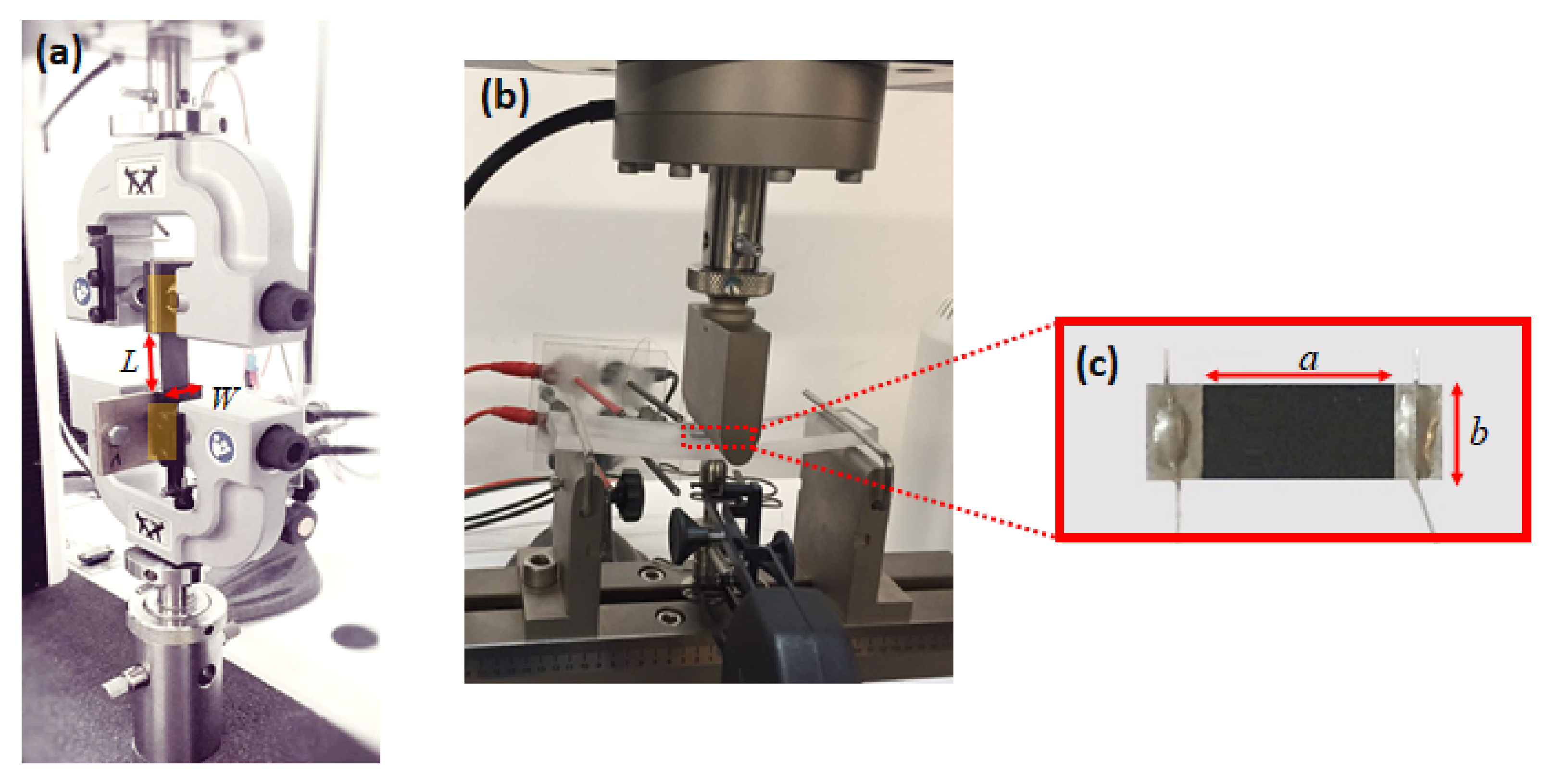 Sensors 21 05277 g002