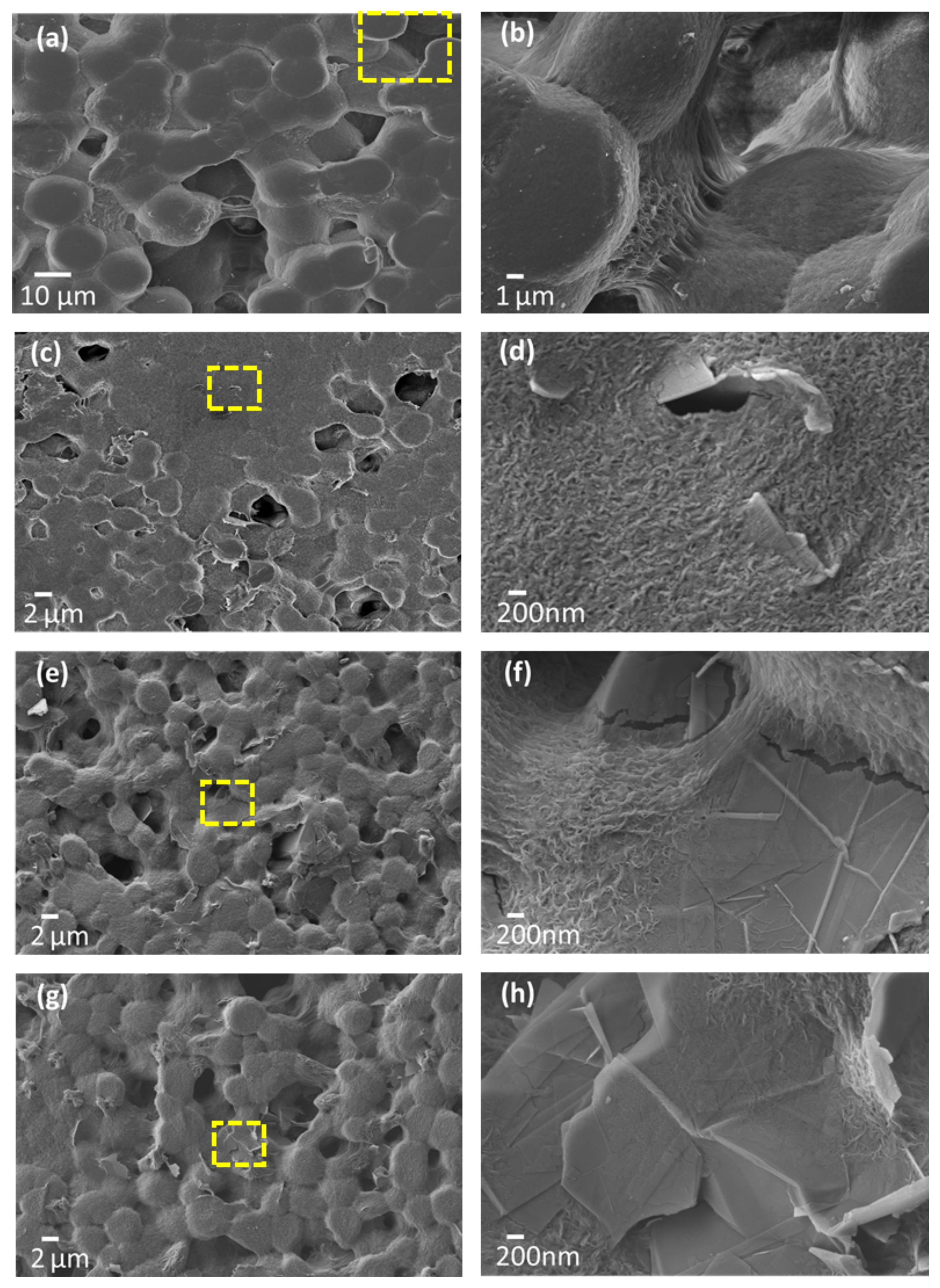 Sensors 21 05277 g004