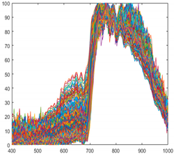 Sensors 21 05279 i004 Sensors 21 05279 i004